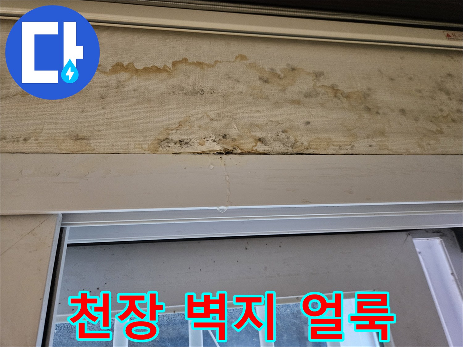 중랑구 현장의 천장 벽지 변색 및 곰팡이 흔적