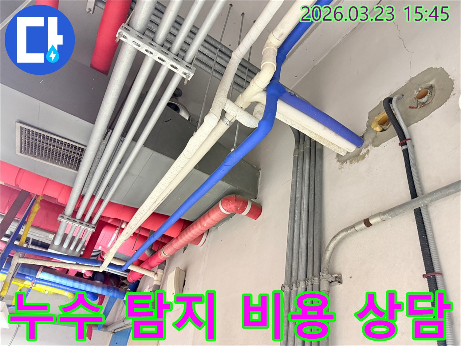 누수 탐지 및 공사 비용에 대해-고객과 상담하며 현장을 점검하는 모습