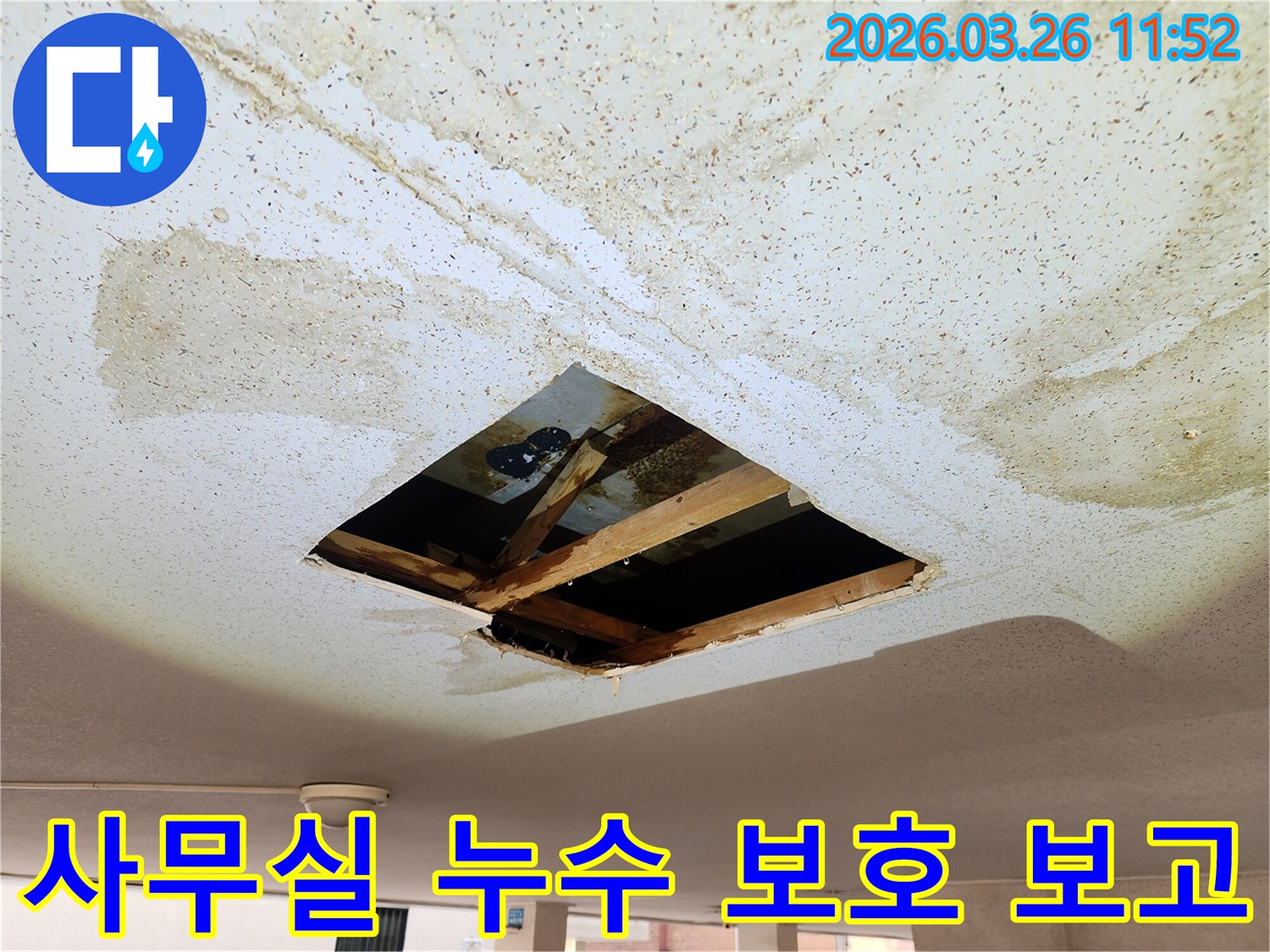 사무실 천장에서-물이 새어-서류와 집기 손상을-막기 위해-천장을 개방하고-누수 원인을-조사하여-보고하는 모습