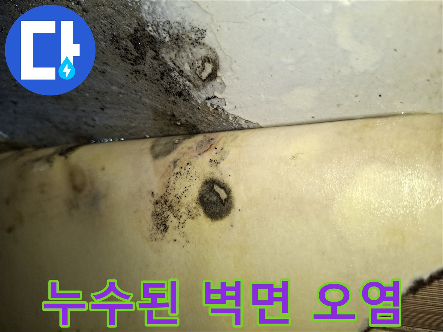 검은색-곰팡이와-노란색-변색이-나타난-벽면-부위