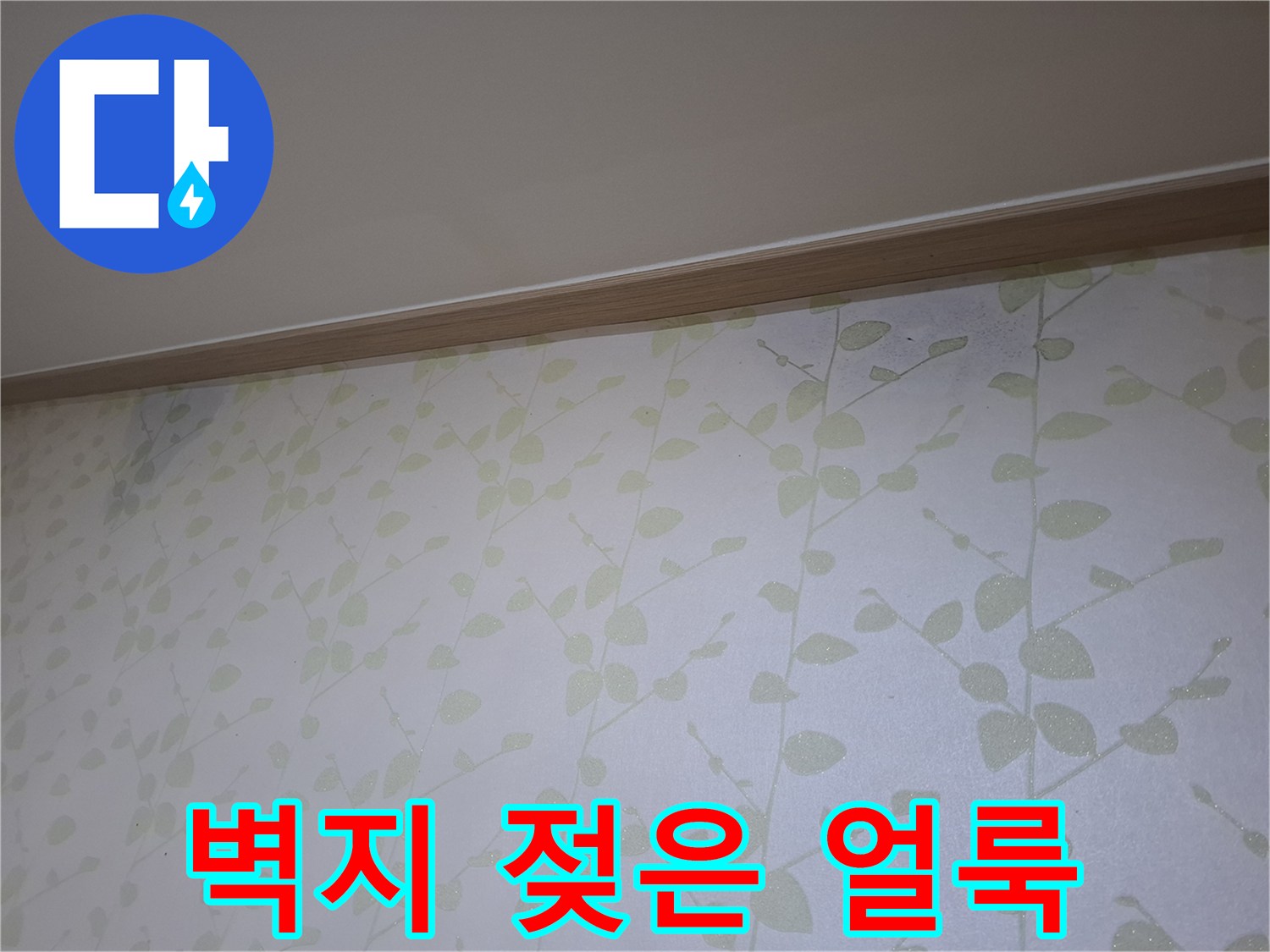 벽지 상단에 발생한 어두운 색의 습기 흔적과 곰팡이 전조 현상