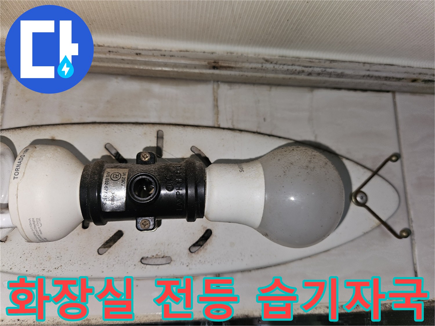 조명 주변 타일 및 천장 부위의 젖은 상태 - 배관 점검 중