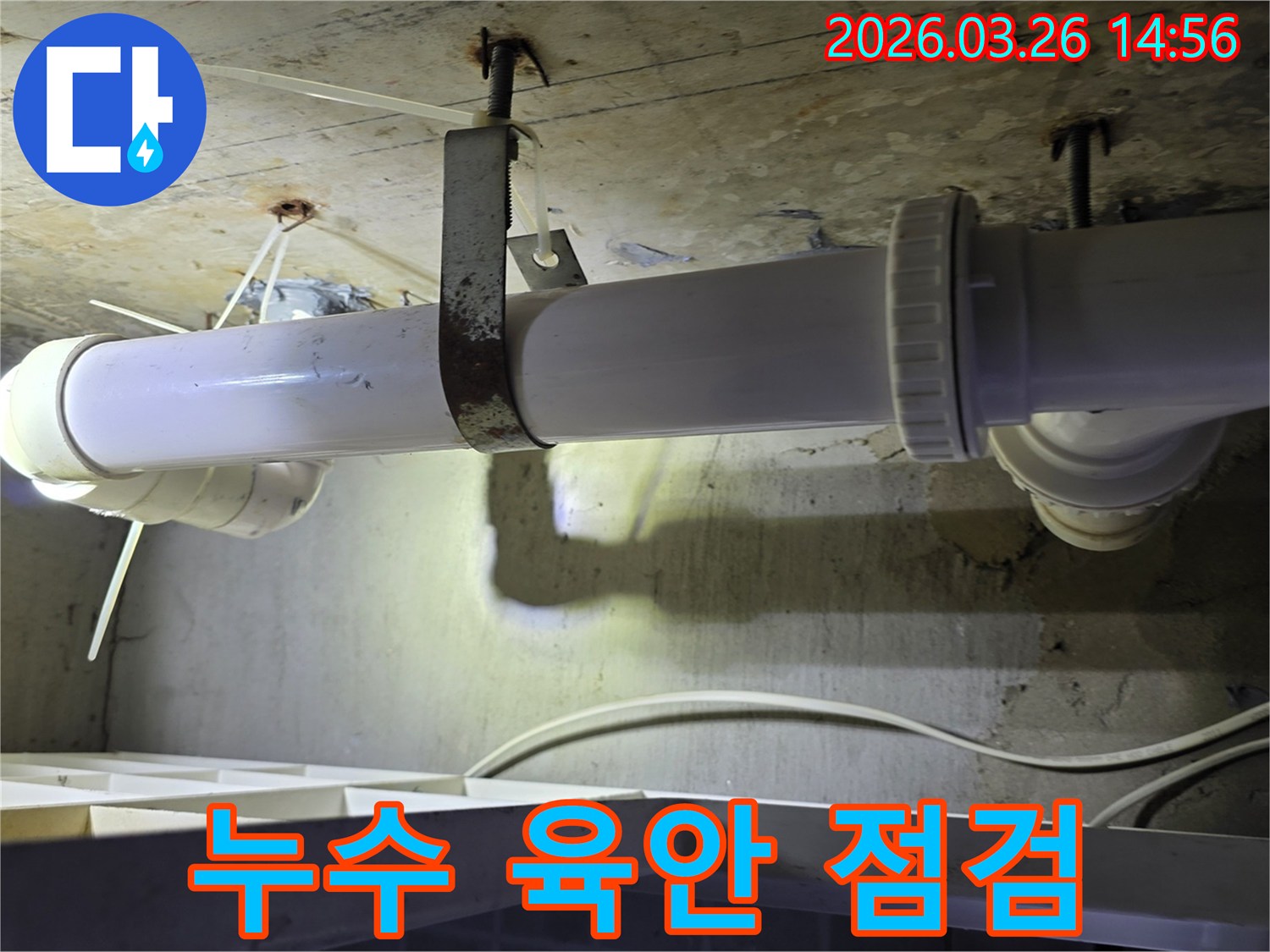 전문가가 첨단 장비 사용에 앞서-육안으로 배관과 주변 환경을-꼼꼼하게 점검하는 모습