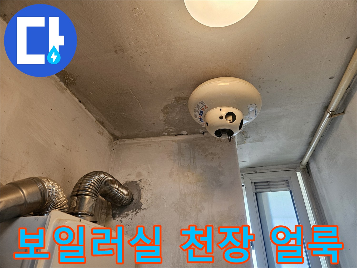 포천 일동면 보일러실-천장 전등 주변 습기 및 오염 흔적