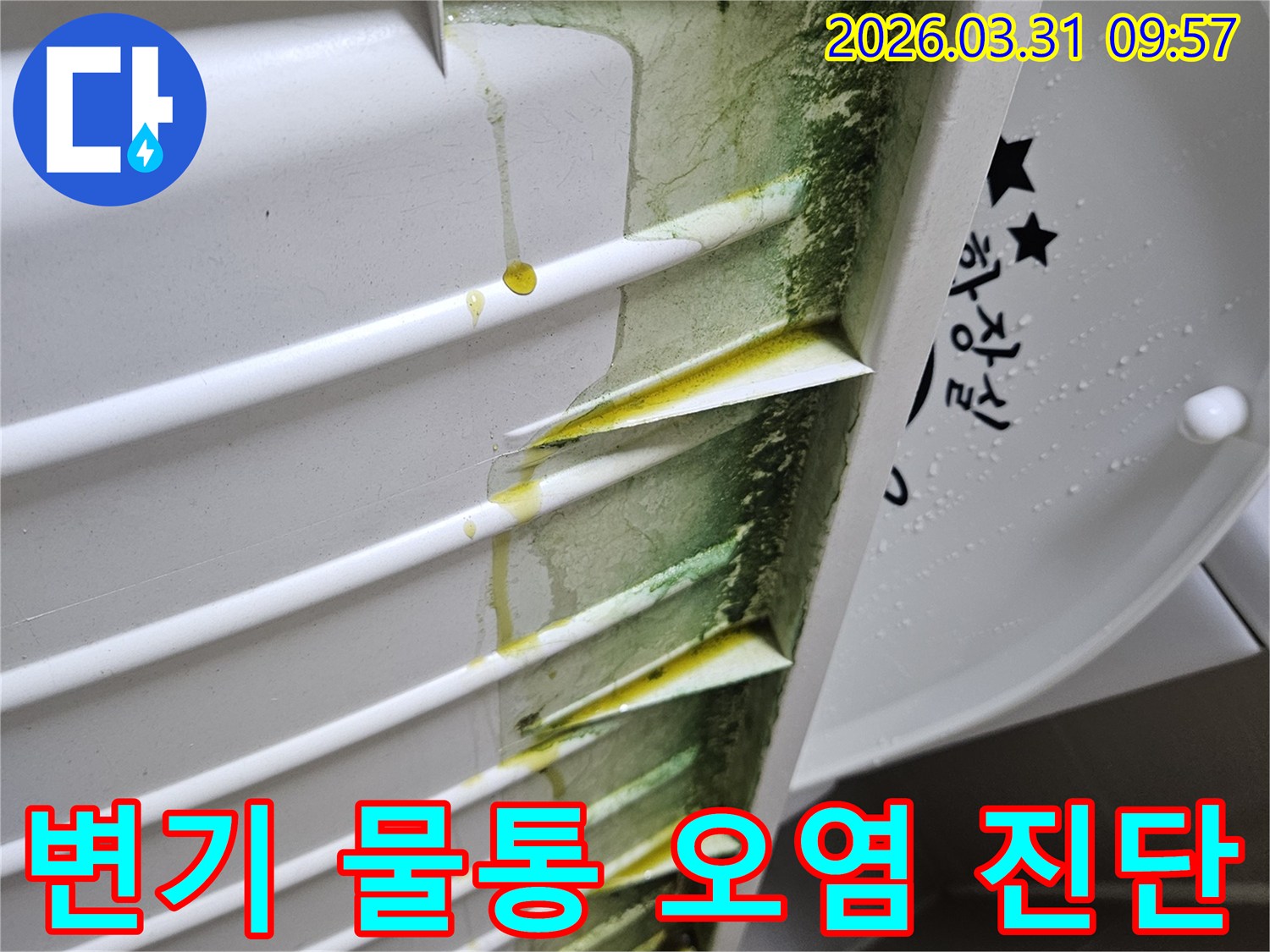 변기-물통-내부-벽면에-초록색-녹조와-노란-침전물이-누수로-인해-생성된-모습입니다