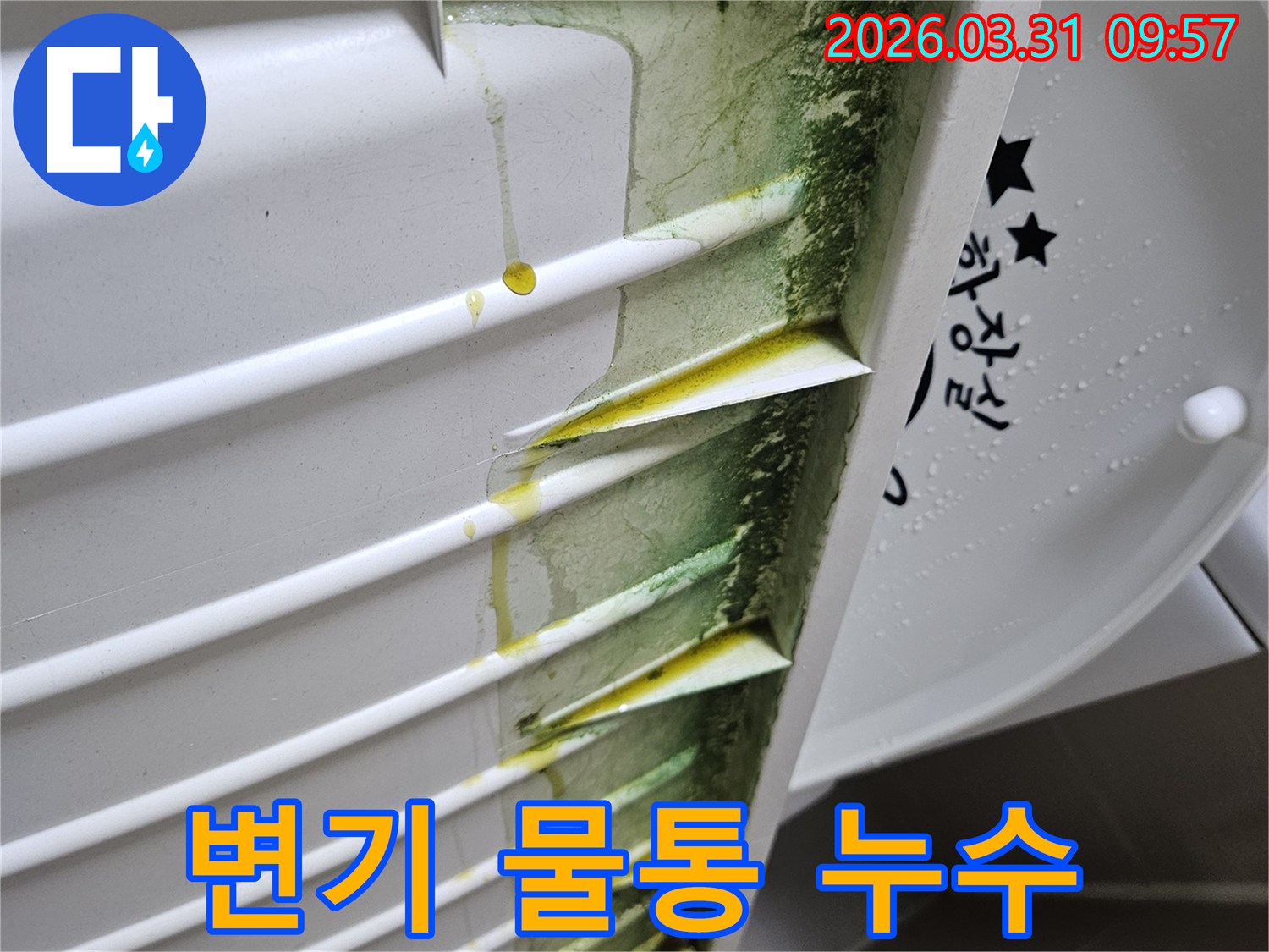 변기-물통-안쪽-벽면에-초록색-녹조와-노란-침전물이-누수로-인해-생성된-모습입니다