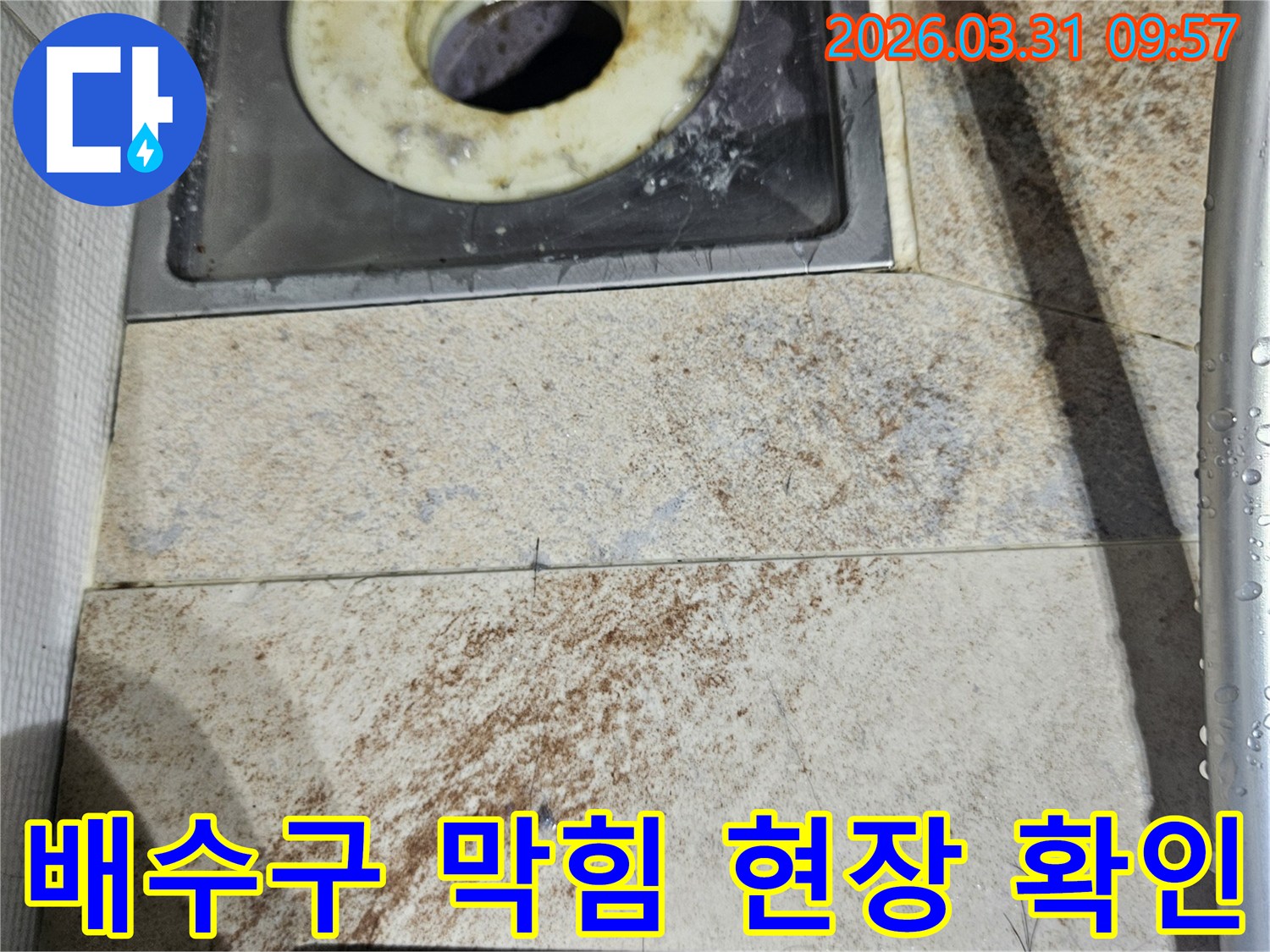 상가 화장실의 배수구와-오랜 시간 방치된 듯한-이물질 가득한 트랩-그리고 주변 타일의 오염을 보여줍니다.