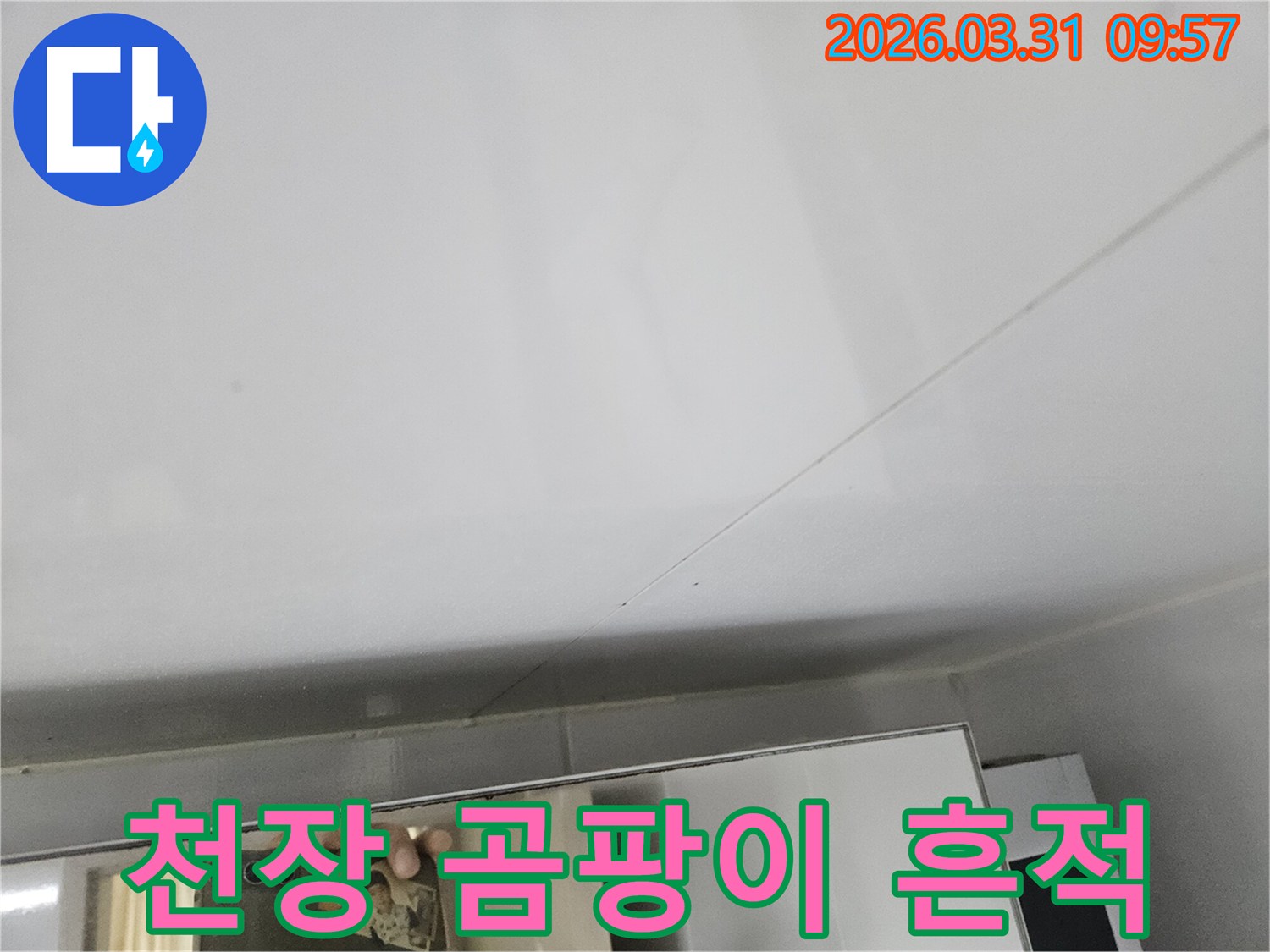 천장 표면에 나타난 미세한 검은 점-습기와 곰팡이 발생 징후를 보여줌