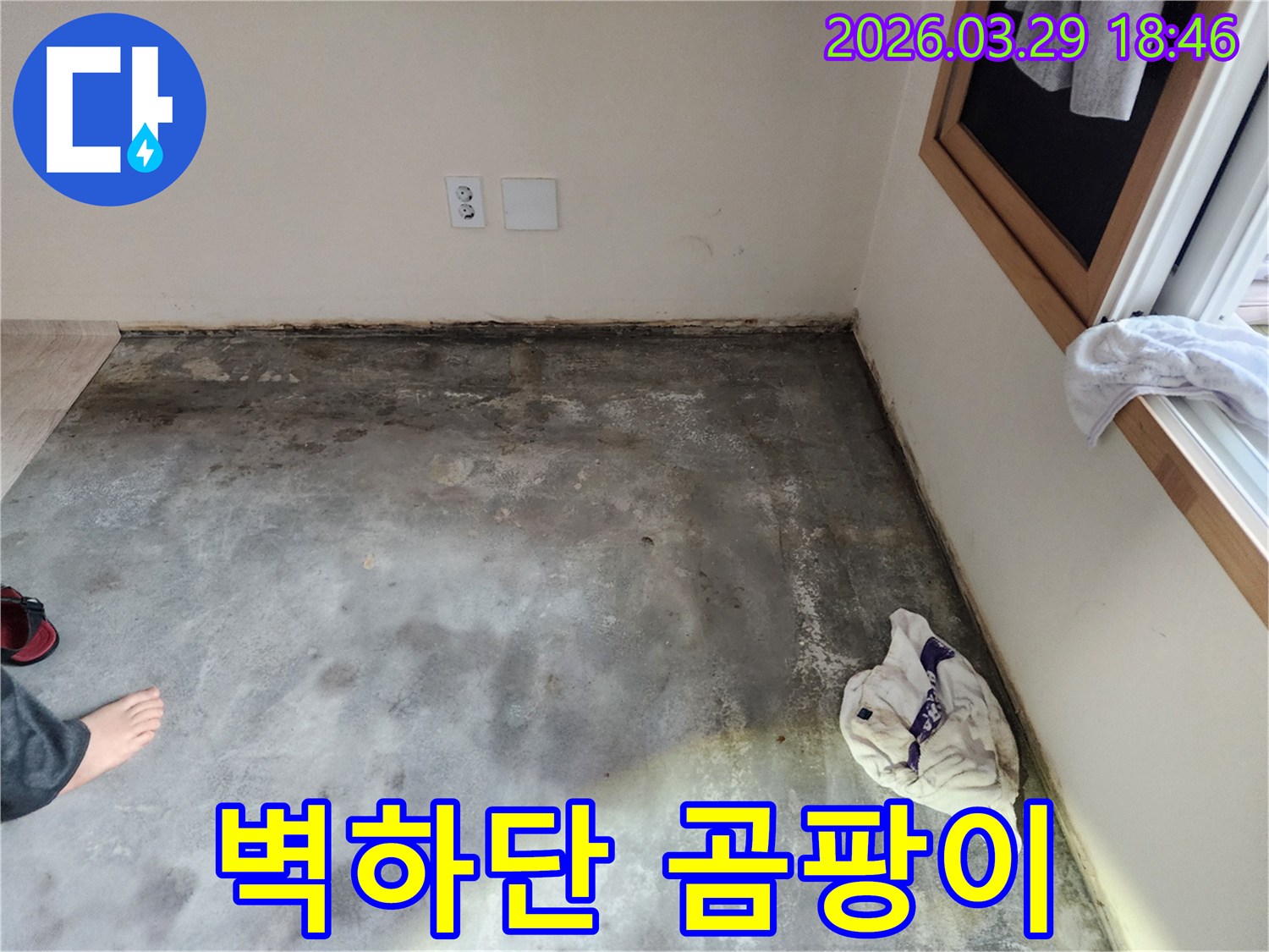 이 이미지는-남양주 오남읍의 한 주택 내부에서-바닥과 벽면 경계에-심각한 습기와-검은 곰팡이가 발생한-누수 상황을-보여줍니다