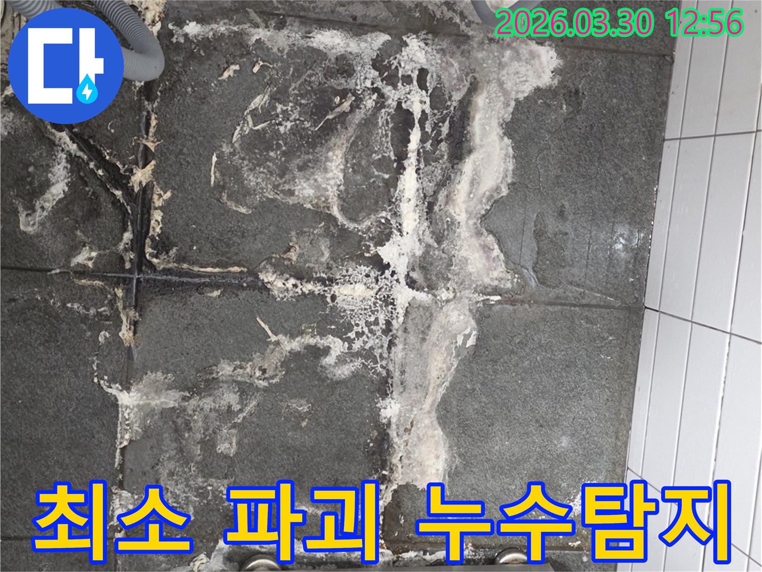 바닥 타일의 백화현상과-젖은 흔적은-정밀한 누수탐지 장비를 사용하여-숨겨진 누수 지점을 찾아야 함을 시사합니다.