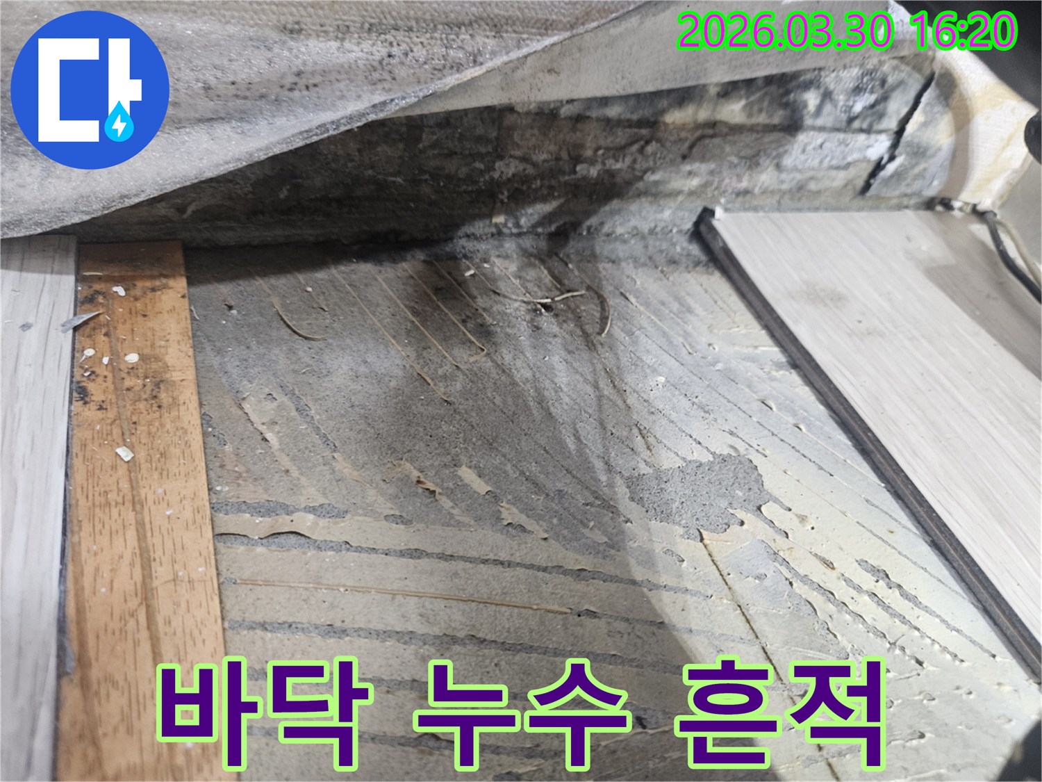 누수-탐지-작업-중-바닥-마감재를-제거하고-발견된-젖은-콘크리트-표면의-상태