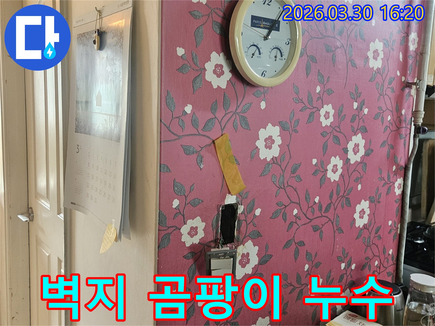 분홍색 꽃무늬 벽지에-시계가-있고-누수-탐지를-위해-개방된-벽면-안쪽에서-곰팡이-흔적이-발견된-사진입니다