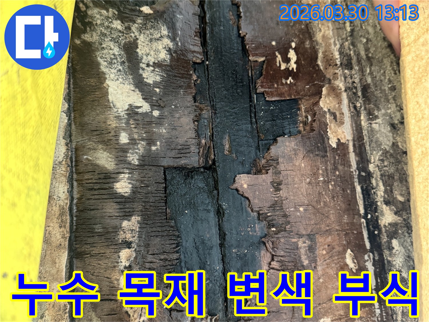 물에 젖어-색이 변하고-부식된 목재의-상세한 손상 상태를 보여주는 이미지
