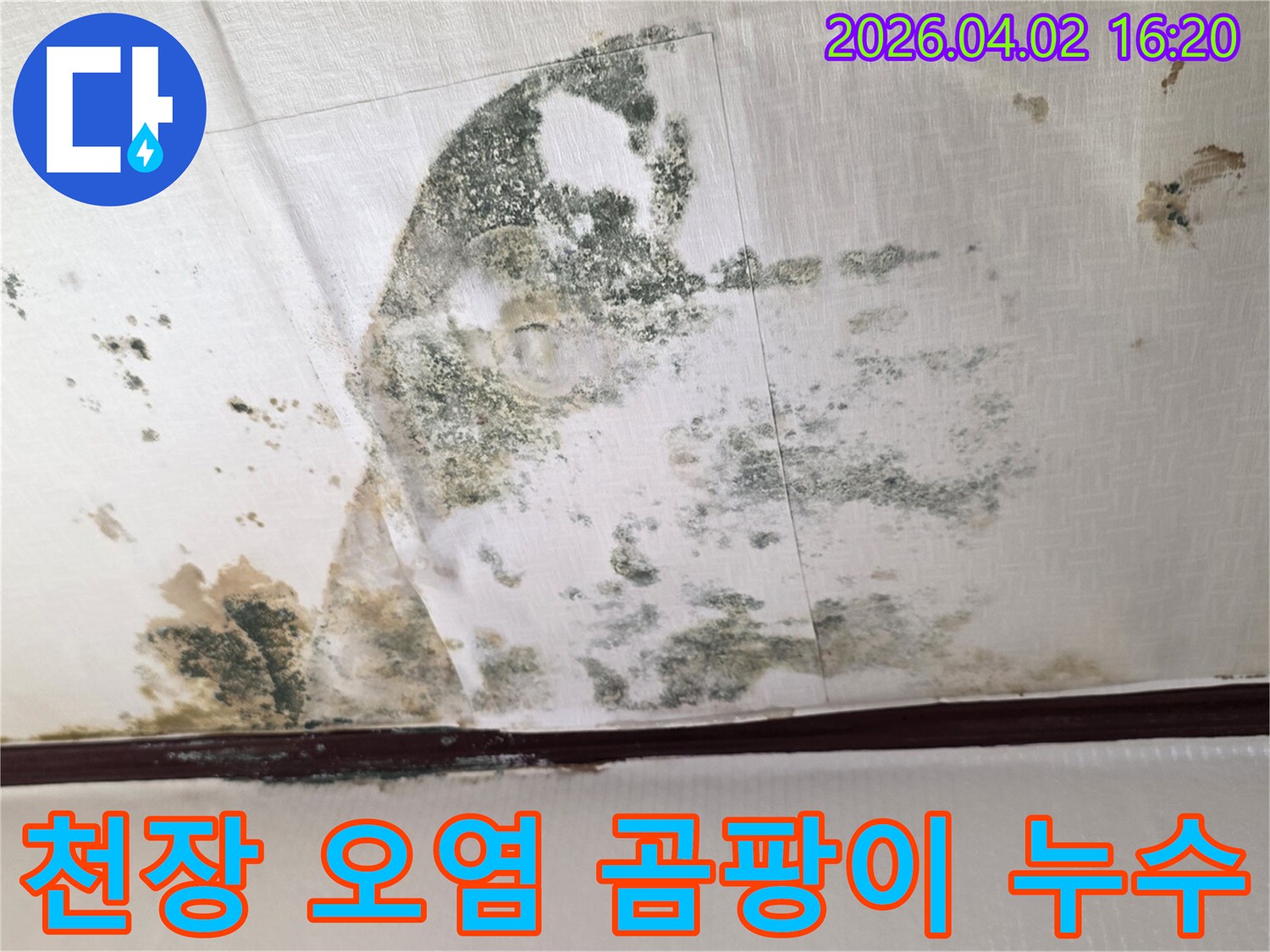 누수-문제로-인해-천장-도배지가-젖고-곰팡이가-생성된-현장을-촬영한-이미지입니다