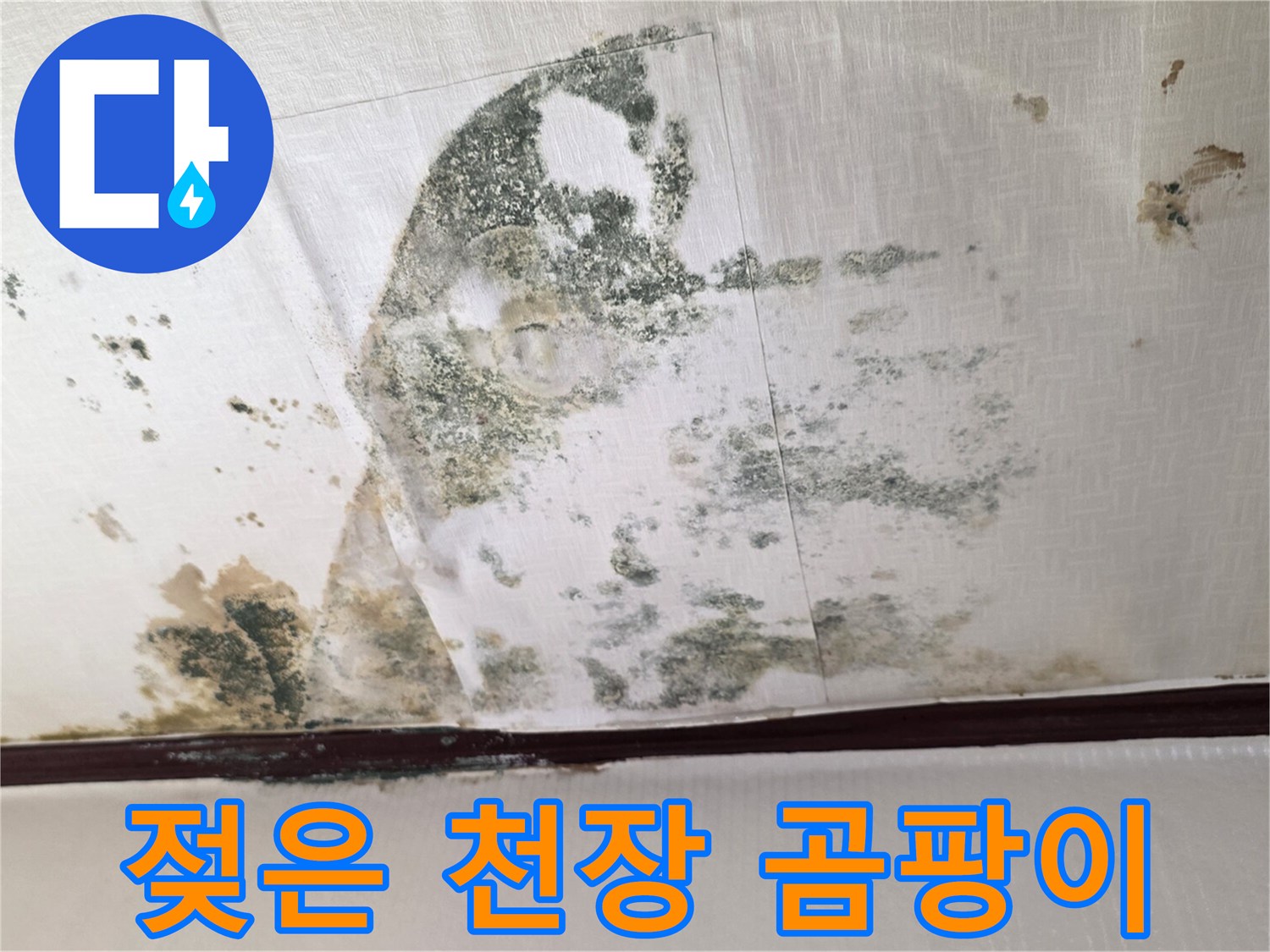 천장-벽지-오염-및-곰팡이-침투-상태-기록