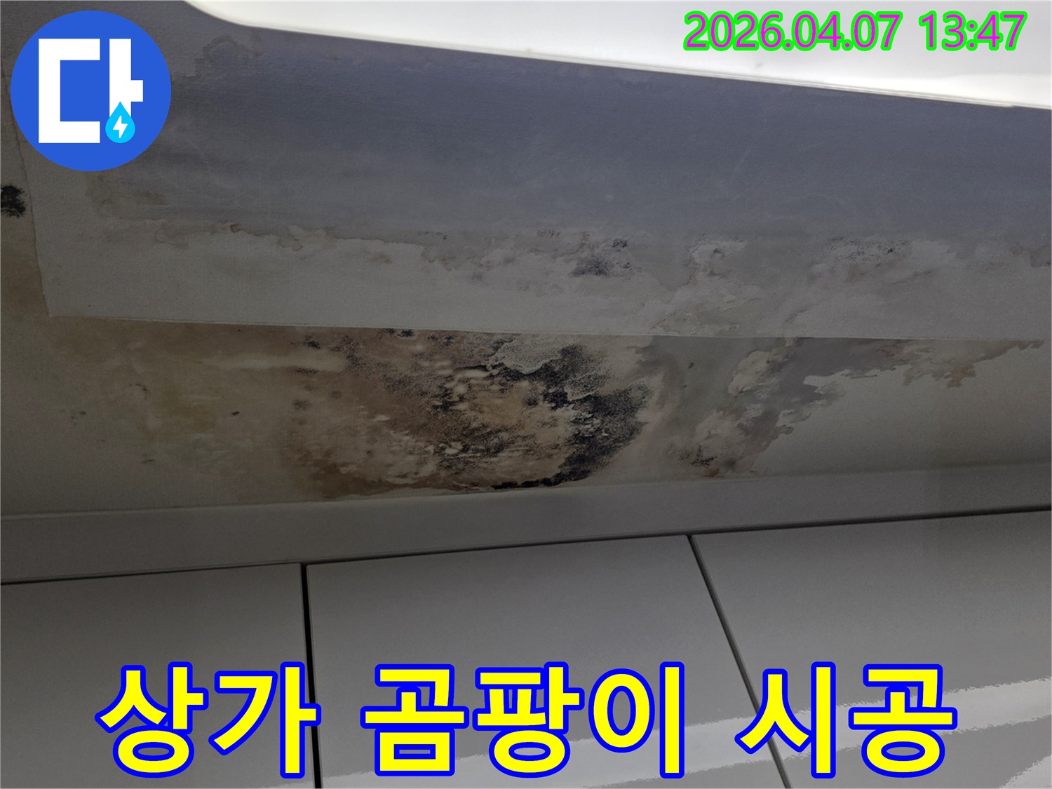 상가-천장에-발생한-누수로-인한-광범위한-곰팡이-오염-현장-정밀-탐지-후-완벽-시공-필요