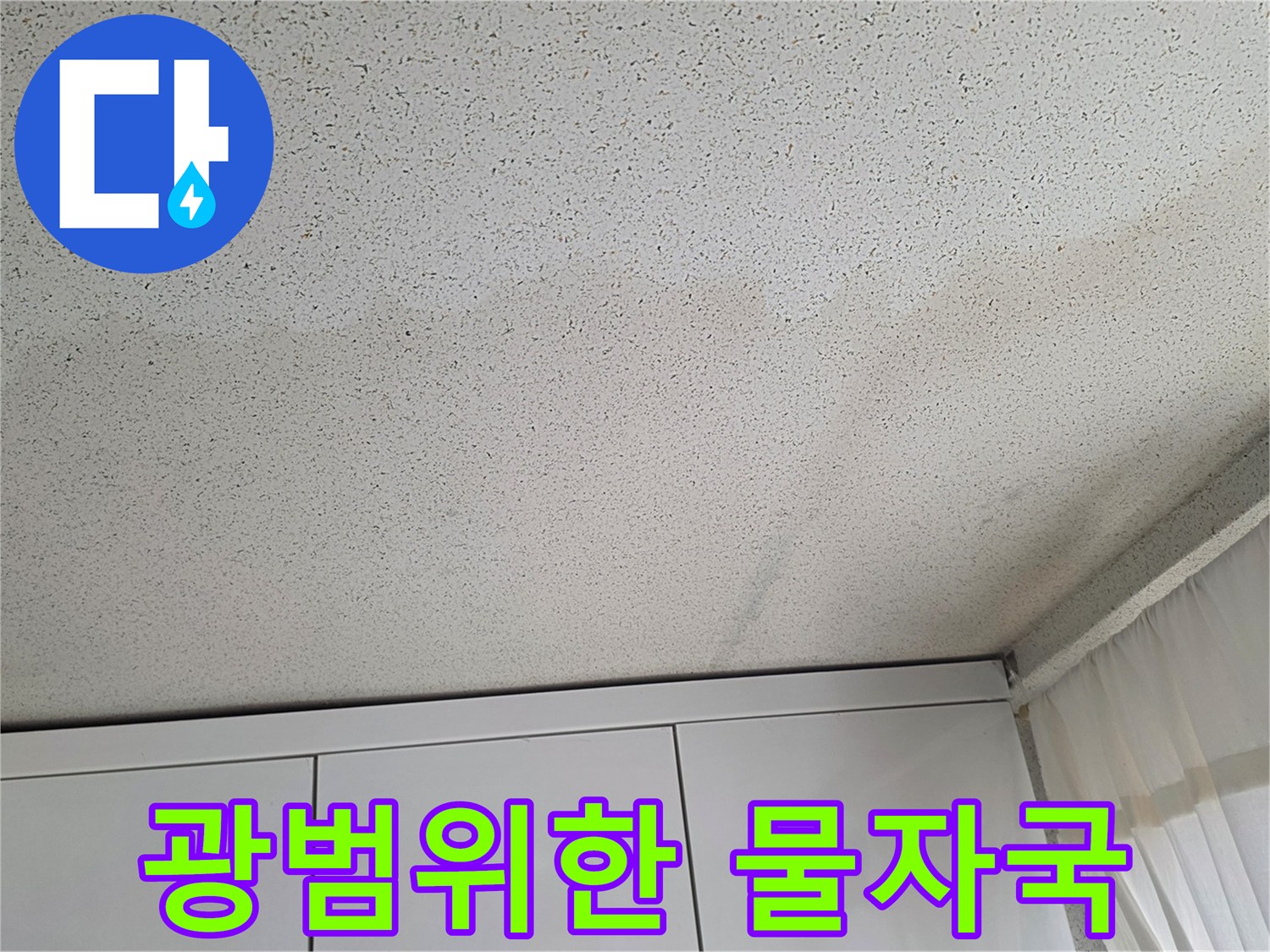 천장 전체적으로 퍼져 있는 누수 흔적과 젖은 부위를 보여주는 이미지입니다.