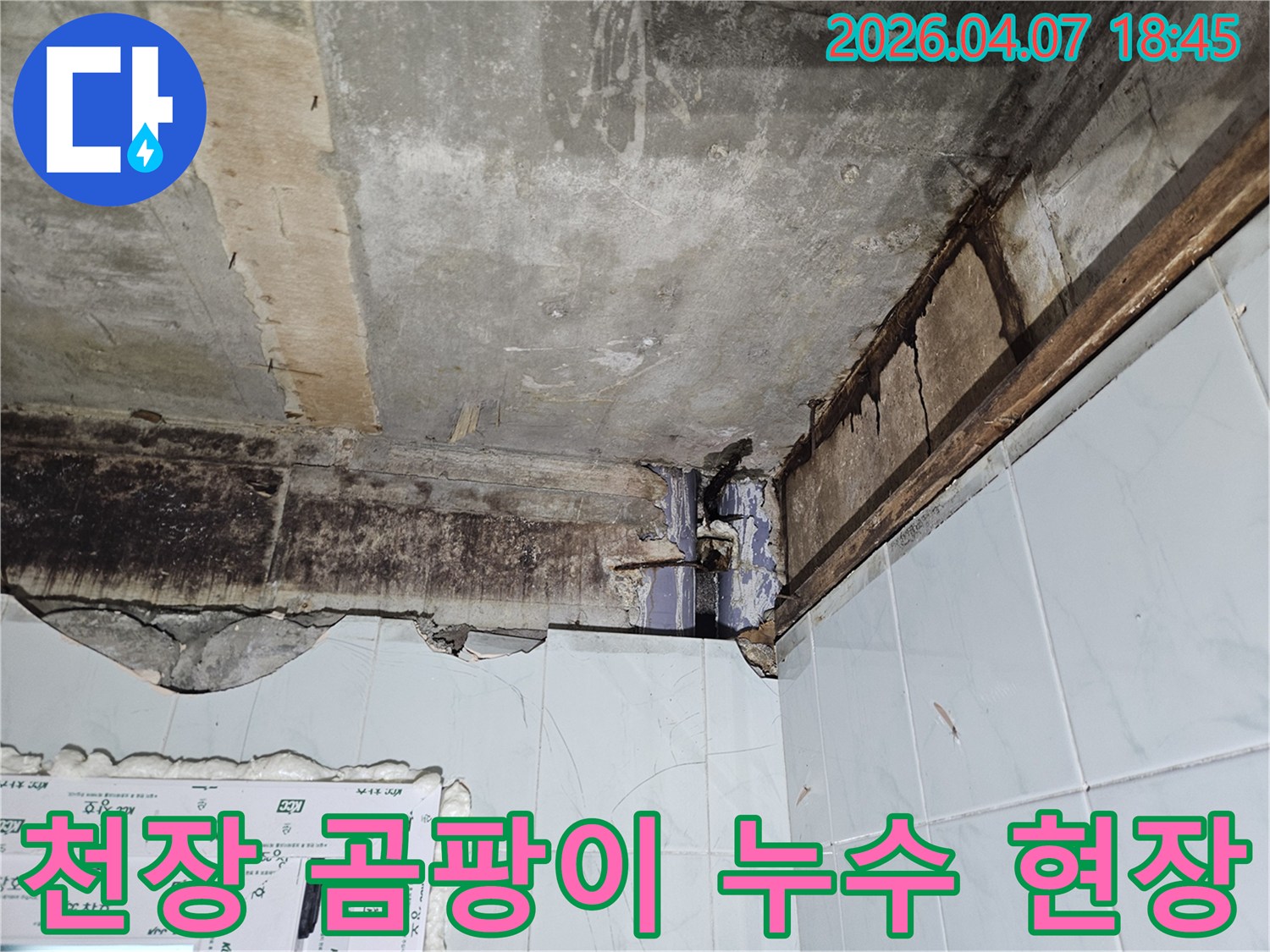 천장 누수로-인해-발생한-심각한-곰팡이와-구조물-손상을-보여주는-공사 전-모습