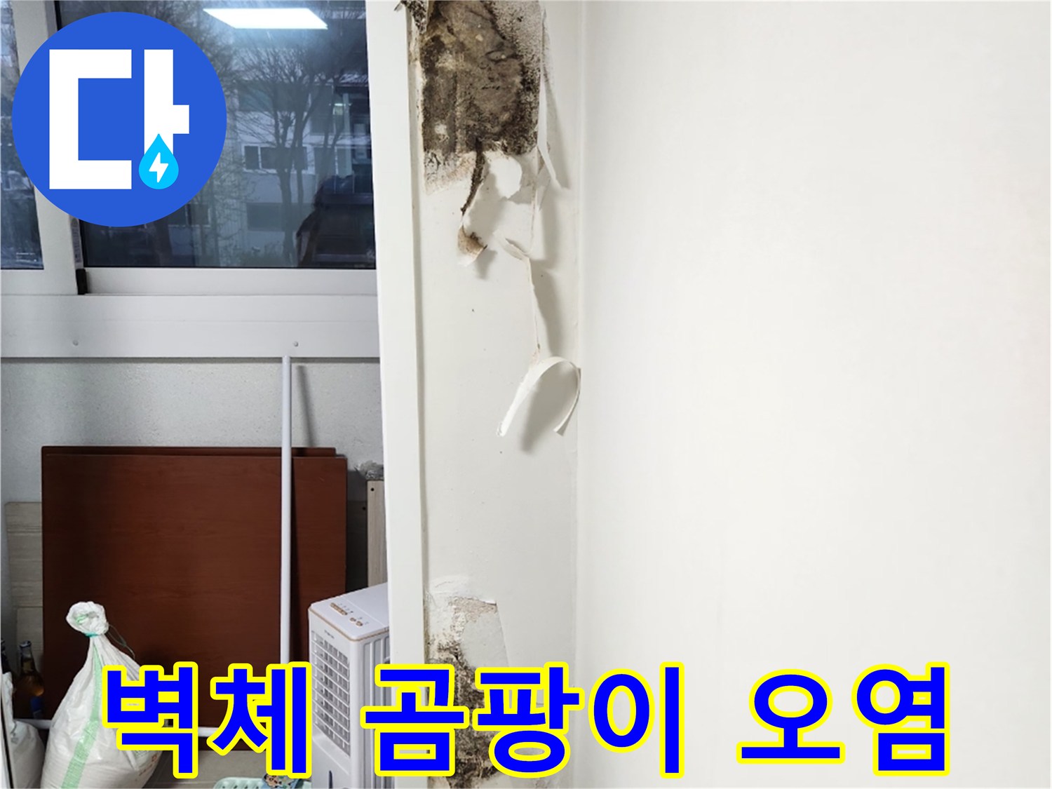 창가 쪽 벽면 콘크리트의 곰팡이와 습기 침투 부위