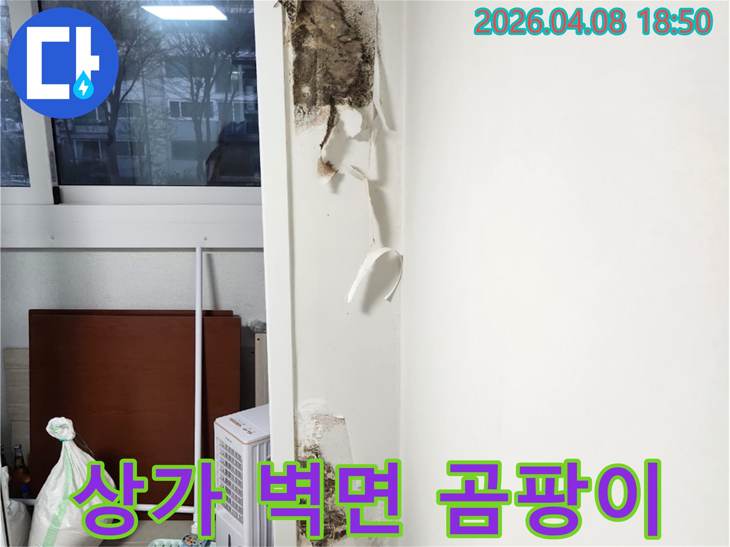 창문-옆-벽면에서-발생한-벽지-들뜸과-광범위한-곰팡이-오염을-보여주는-누수-현장-사진입니다