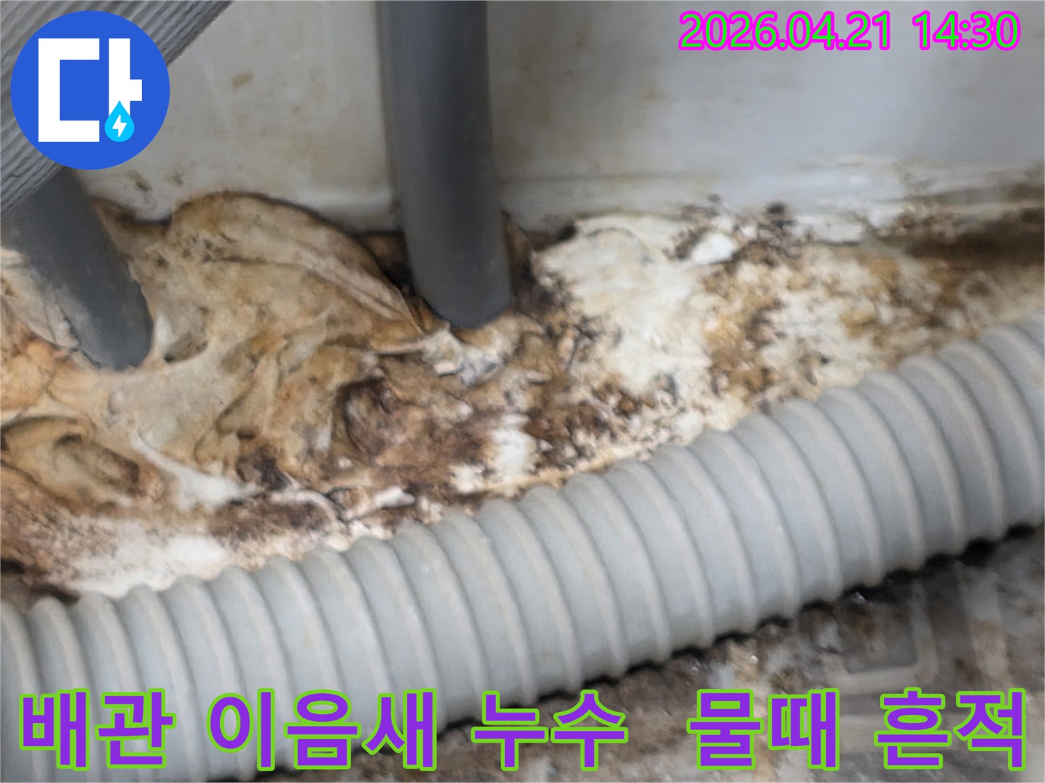 배관-이음새-부분에서-발생한-누수로-인해-주변에-생긴-물때와-오염-흔적을-보여주는-사진
