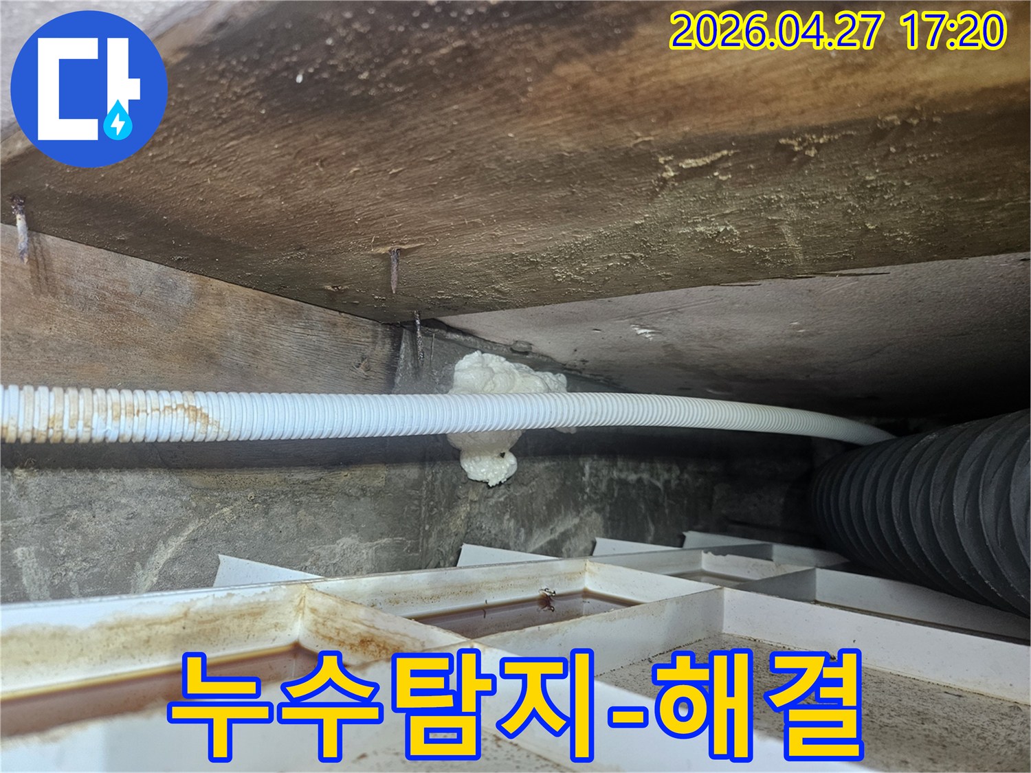 욕실-천장-누수-현장에서-누수탐지-노하우를-활용하여-완벽한-해결책을-제시하는-전문가의-모습