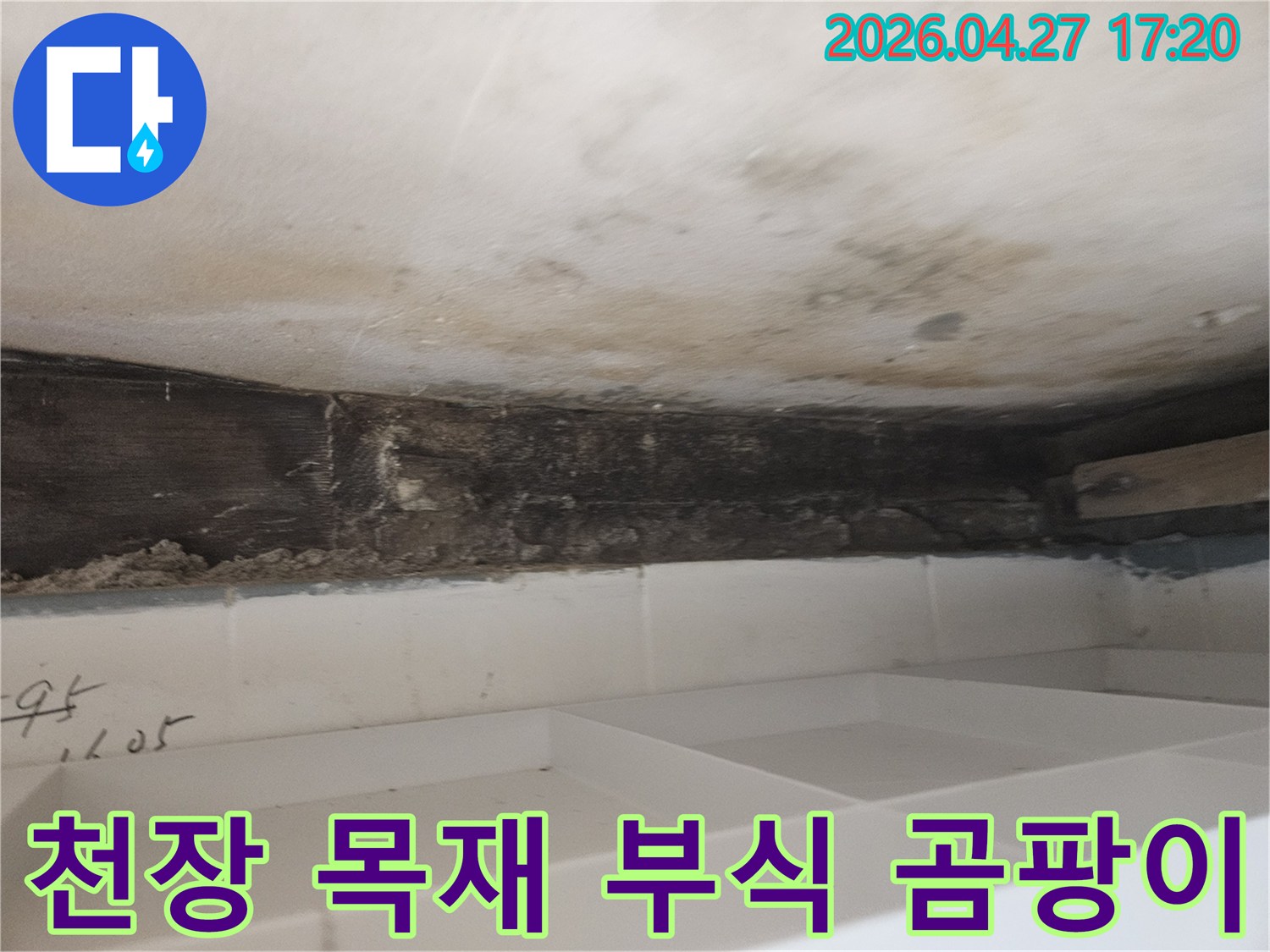 욕실 천장-목재 구조물이-누수로 인해-심하게 부식되고-검은 곰팡이가-번식한-위생상-위험한-상태