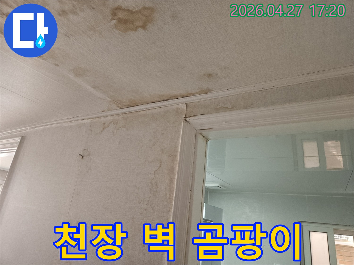 이 이미지는-천장과-벽지에-발생한-누수로-인해-생성된-곰팡이와-물얼룩을-선명하게-보여주며-이는-장기간-누수가-진행되었음을-나타냅니다
