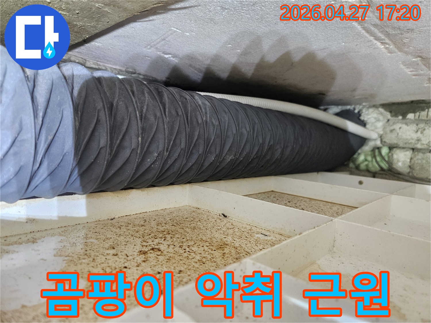 천장 내부의-누수로 인해-발생한-습기와 오염이-곰팡이와-악취의-근원이 될 수 있음을-보여주는-현장입니다.