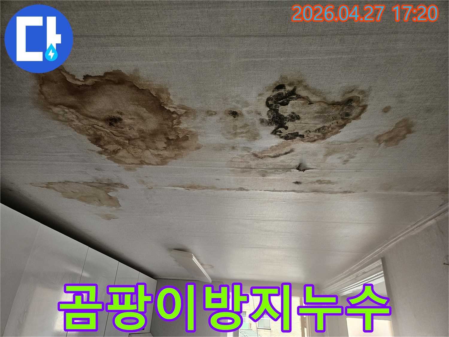 천장 표면에-검게 번진 곰팡이와-누수로 인한 습기 흔적-건강에 해로운 곰팡이 제거가-시급한 누수 피해 현장