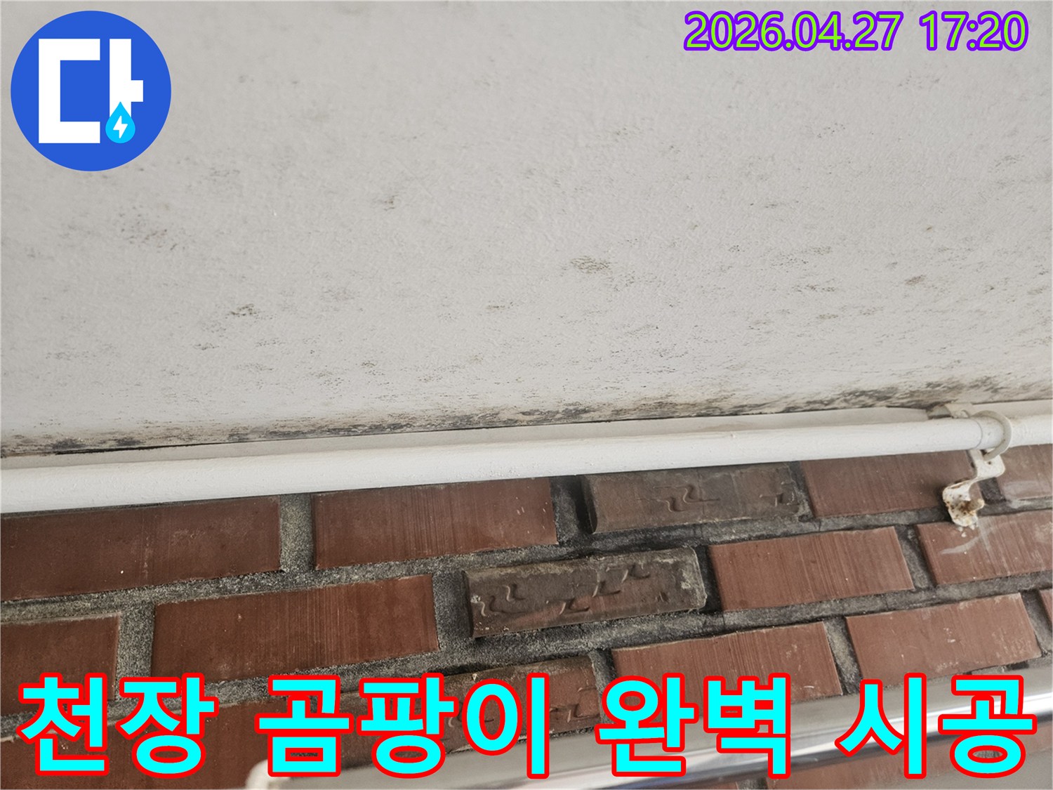 천장과 벽의 경계에 생긴 검은 곰팡이와-누수 흔적이 보이는 현장 사진입니다.
