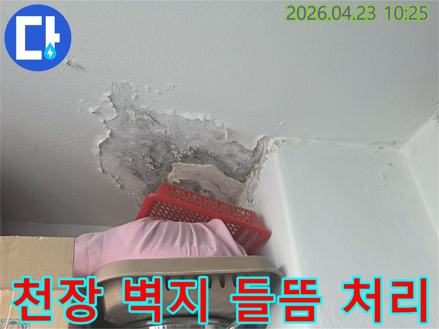 천장 벽지가 물에 젖어-들뜨고 벗겨지며-곰팡이가 피어있는 모습-처리 전