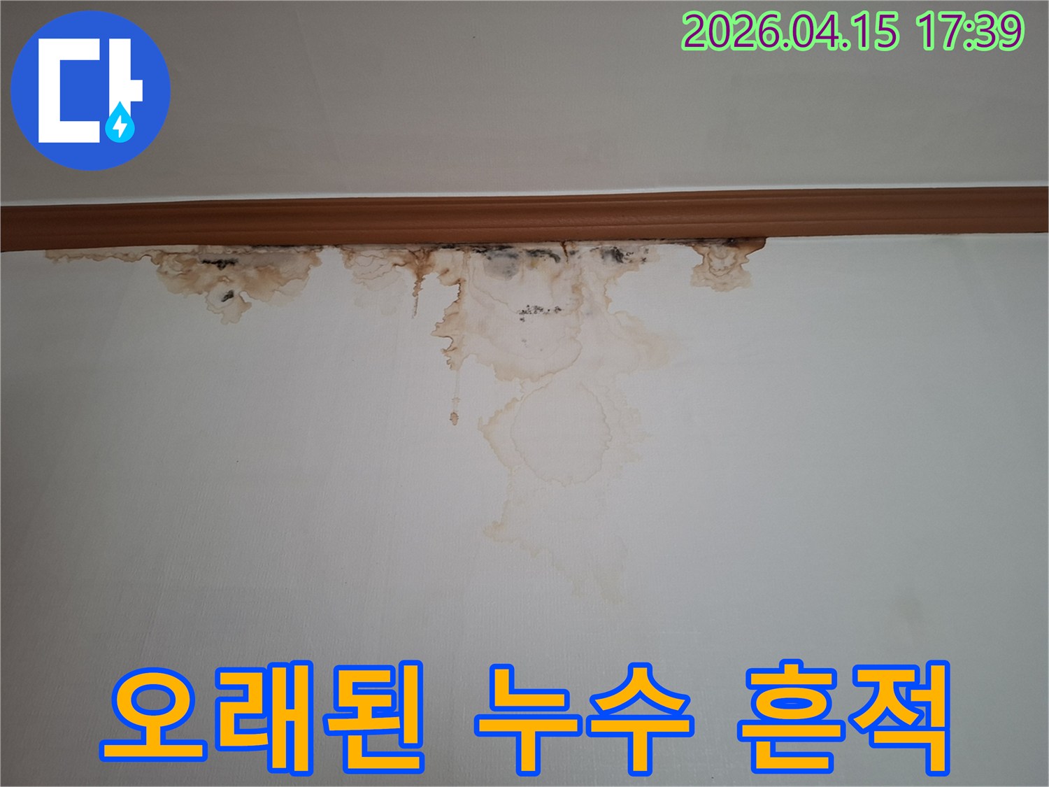 오래된-누수로-인해-벽면-상단에-갈색-물자국과-곰팡이가-번식한-모습입니다.
