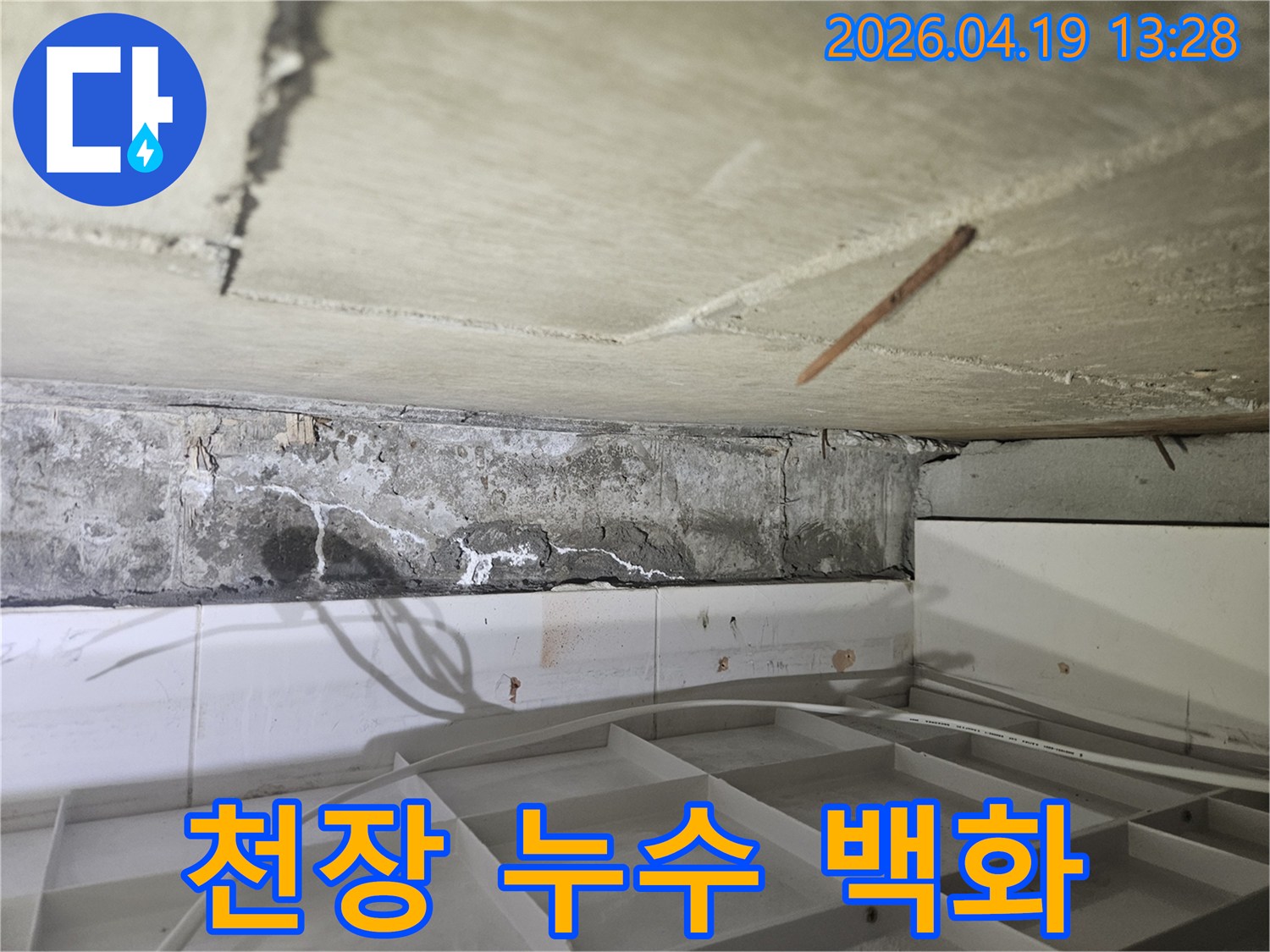 콘크리트 천장-모서리에서-발견된-누수-흔적-백화현상-그리고-균열-모습