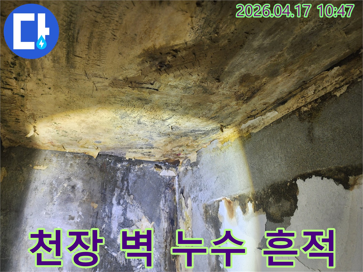 누수로 인해-천장과 벽면 전체에-심각하게 번진 누수 흔적과-벽지 손상 현장