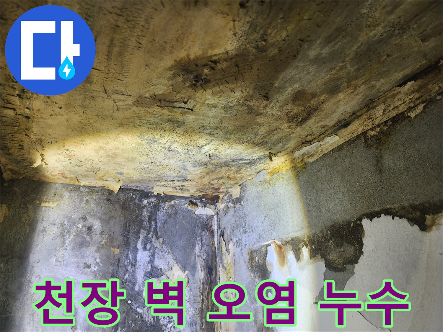누수로 인해-천장과 벽면이 심하게 오염되고-벽지가 벗겨진 현장 사진
