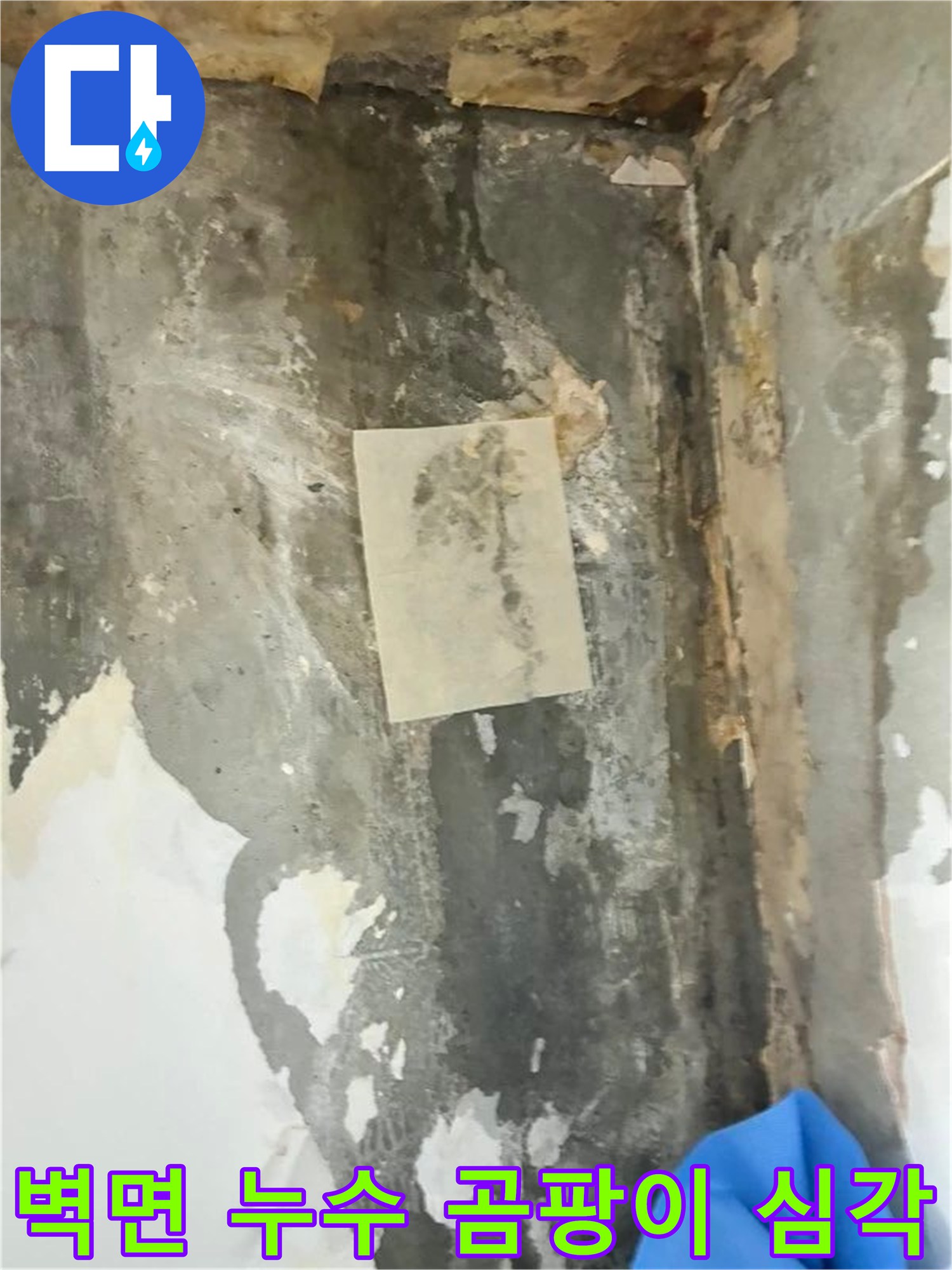 벽면의 물자국과 곰팡이는-누수 문제의 심각성을 보여주는 명확한 증거입니다