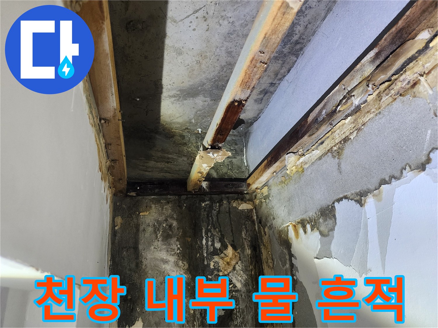 석고보드-제거-후-천장-내부에서-발견된-누수로-인한-물-흔적과-손상-모습