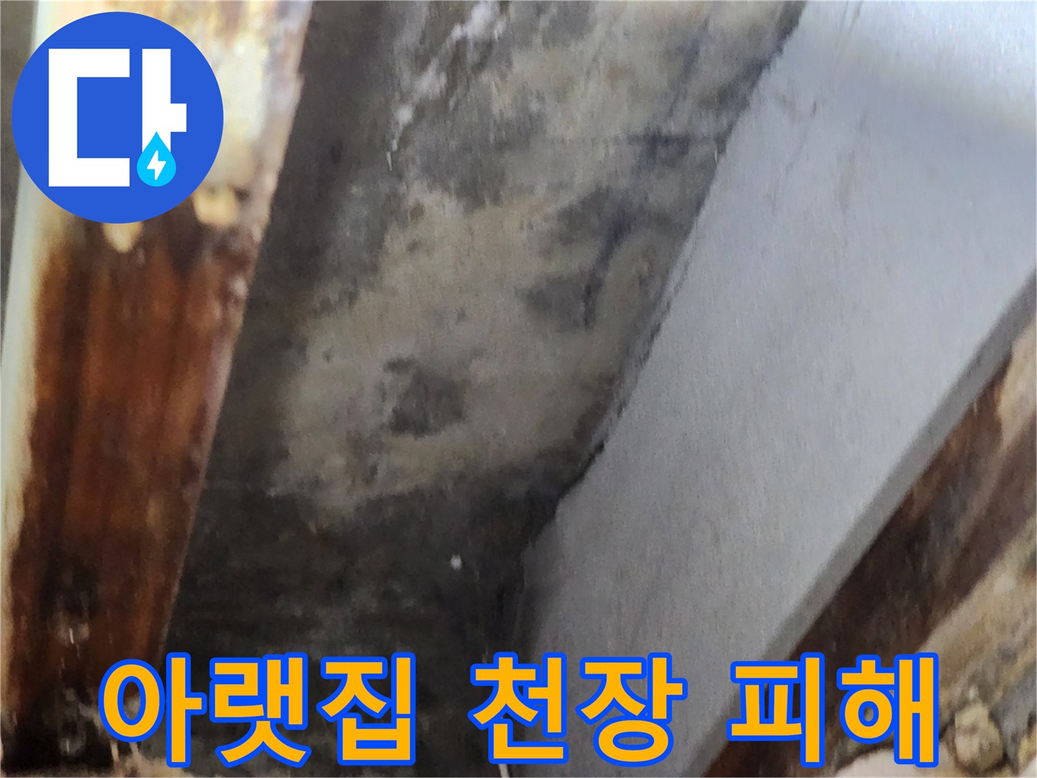 아랫집 천장에 발생한 누수로 인한 물자국과-곰팡이 피해 현장을 담은 이미지입니다