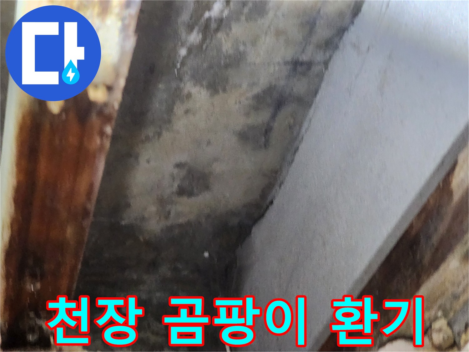 천장 모서리에 발생한 곰팡이를 제거하고-환기 솔루션을 적용하는 현장 이미지입니다