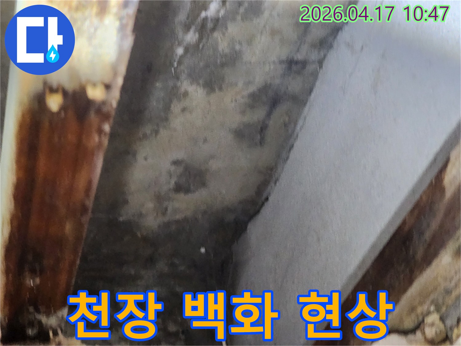 천장 모서리에 발생한 누수로 인한 백화 현상과-오염 상태를 보여주는 이미지입니다