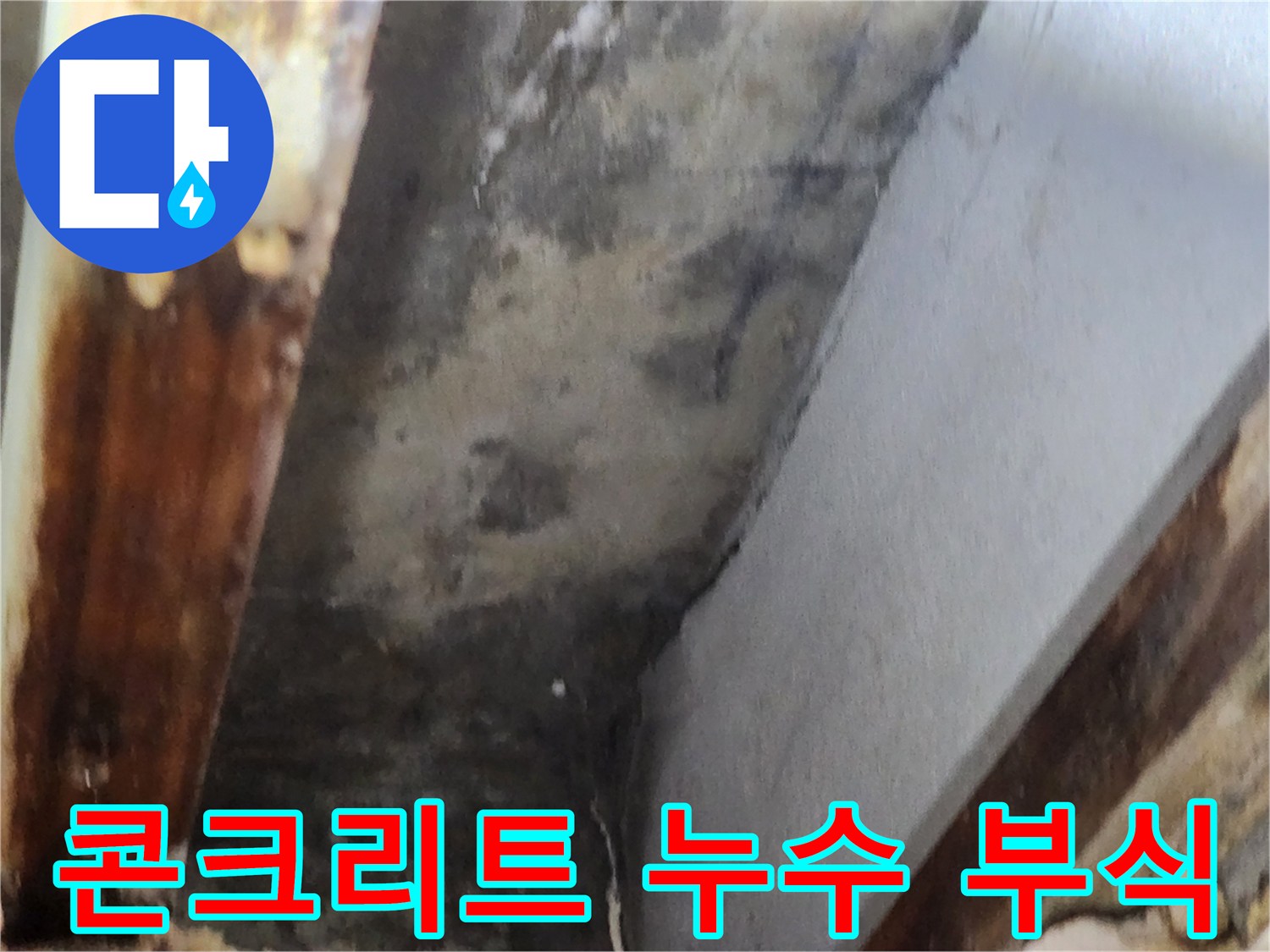 천장 콘크리트 면에 발생한 누수로 인한 부식과-곰팡이 흔적이 선명하게 보이는 이미지입니다