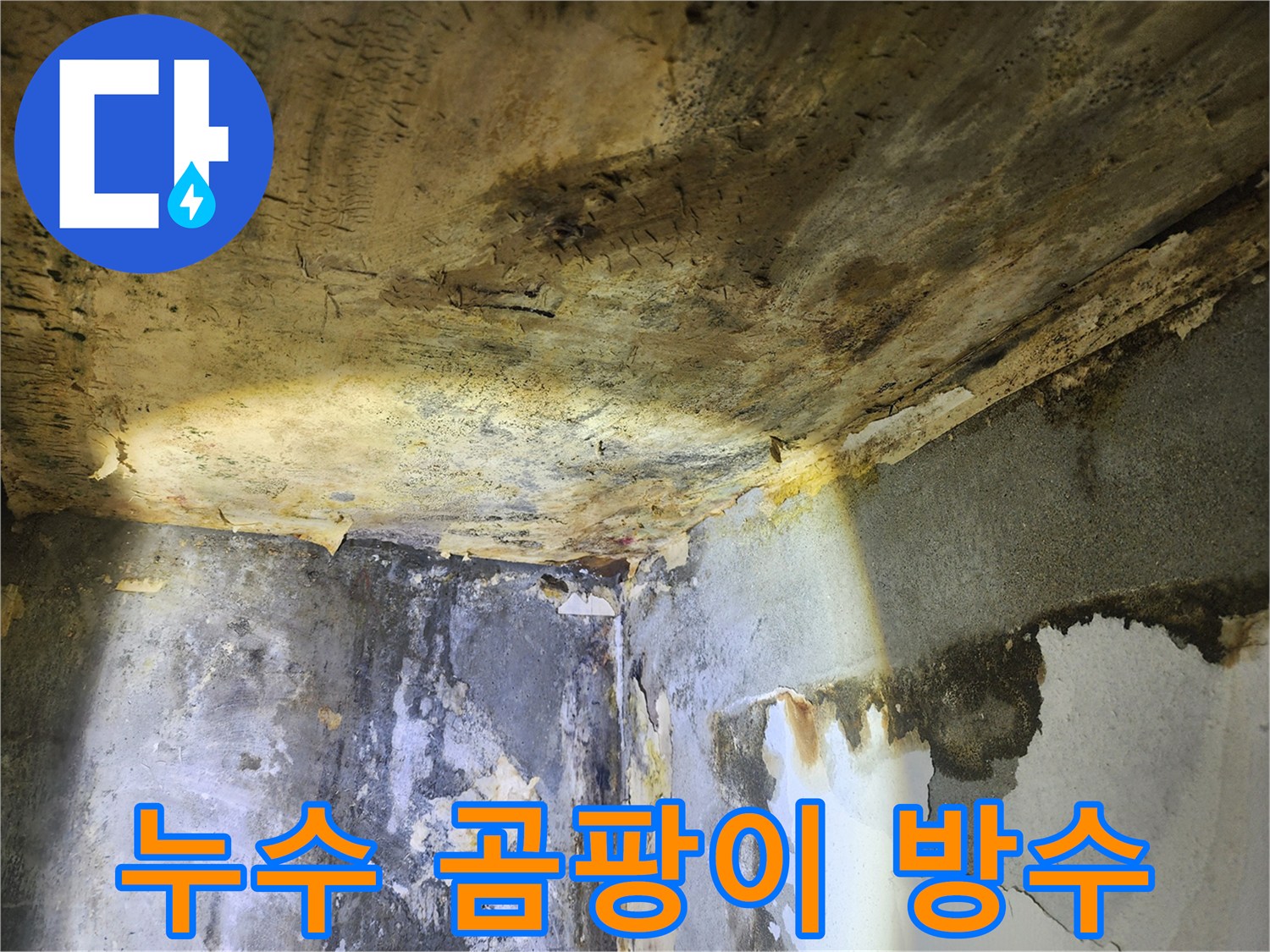 천장과 벽에 발생한-심각한 누수와 곰팡이로-벽지가 손상된 모습