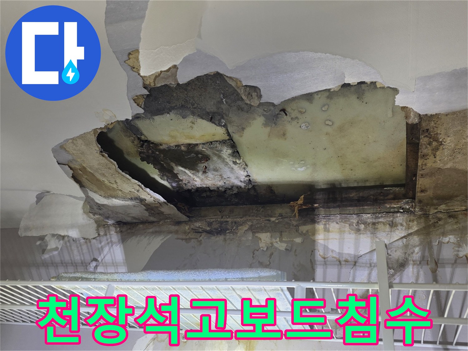 인천 미추\text{미추홀구 아파트 천장 석고보드 침수 및 곰팡이 발생 상태}