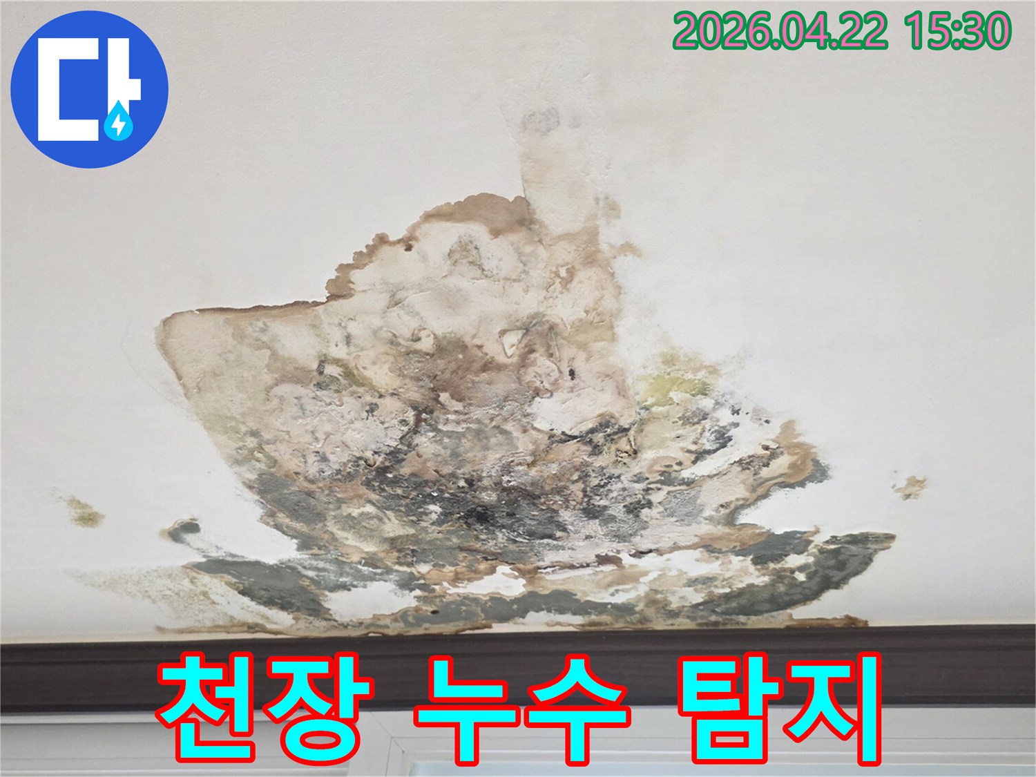 천장에-발생한-누수-흔적과-곰팡이로-전문가-방문-탐지가-시급한-상황입니다