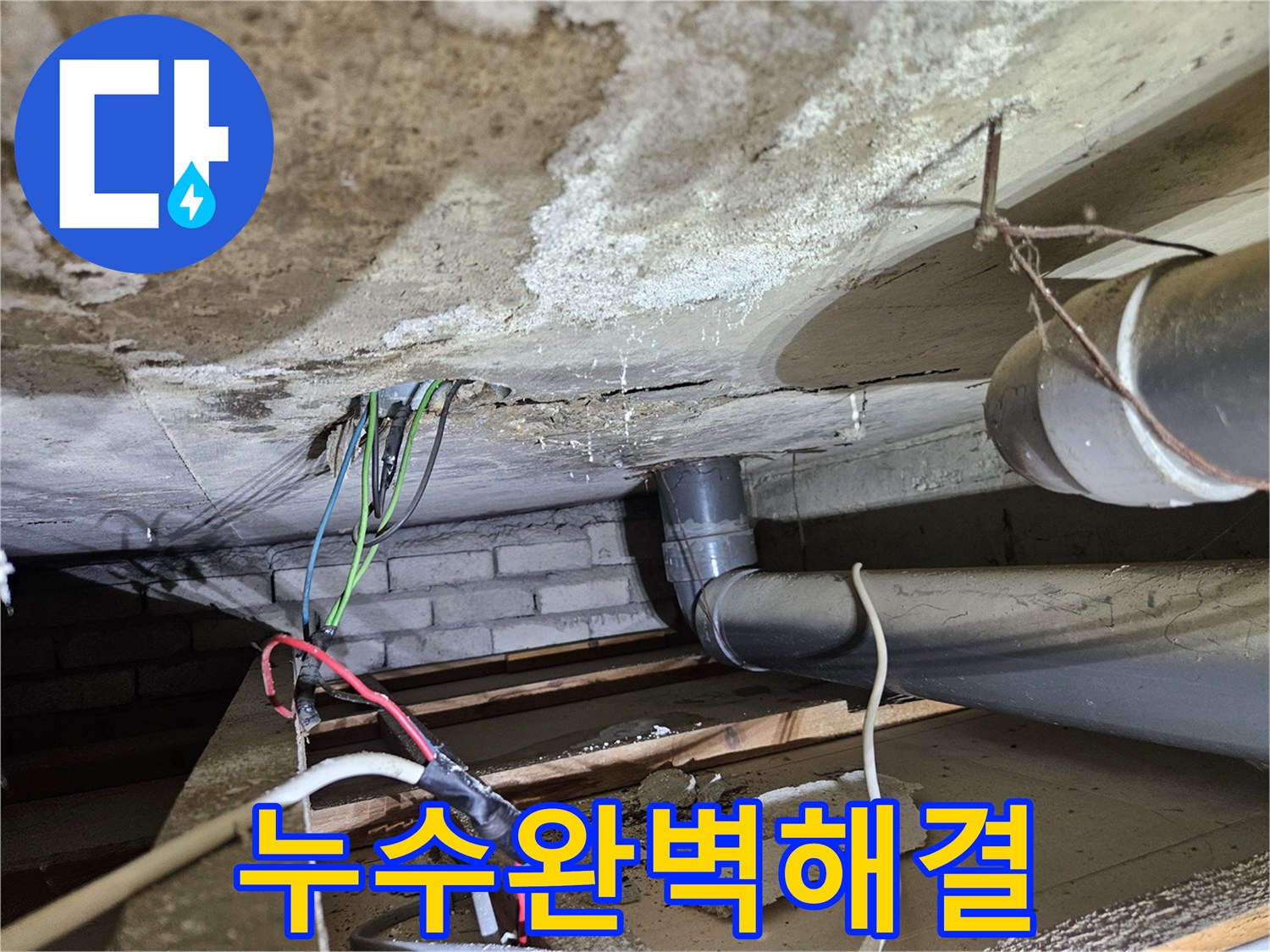 누수-전문가가-진단하는-오수배관-누수-현장에서-완벽한-해결책을-찾는-모습