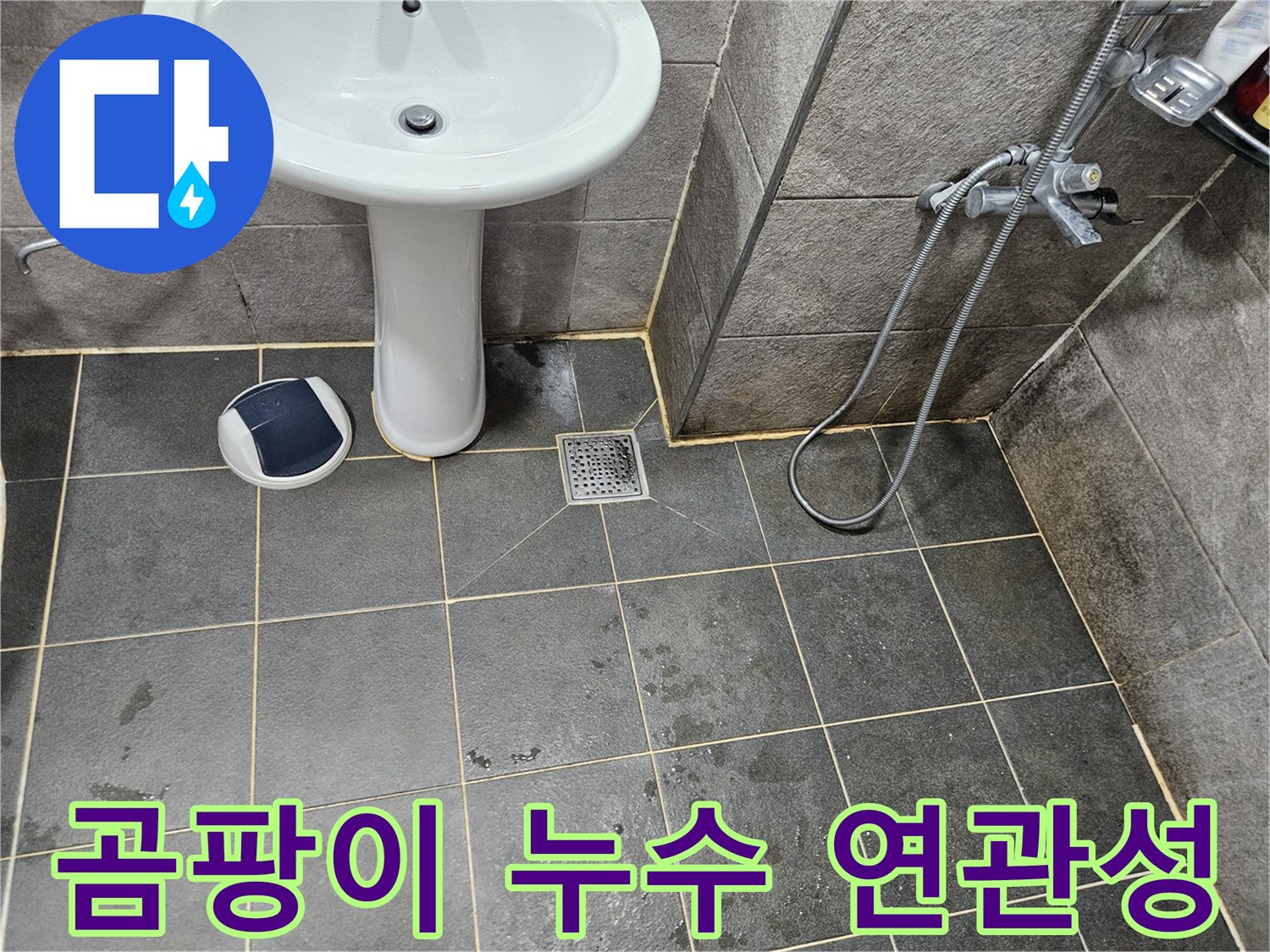 이 이미지는-안양 만안구 청호아파트 욕실에서-곰팡이 발생과-누수의-연관성을-설명하기-위해-바닥을-확인하는-모습을-보여줍니다