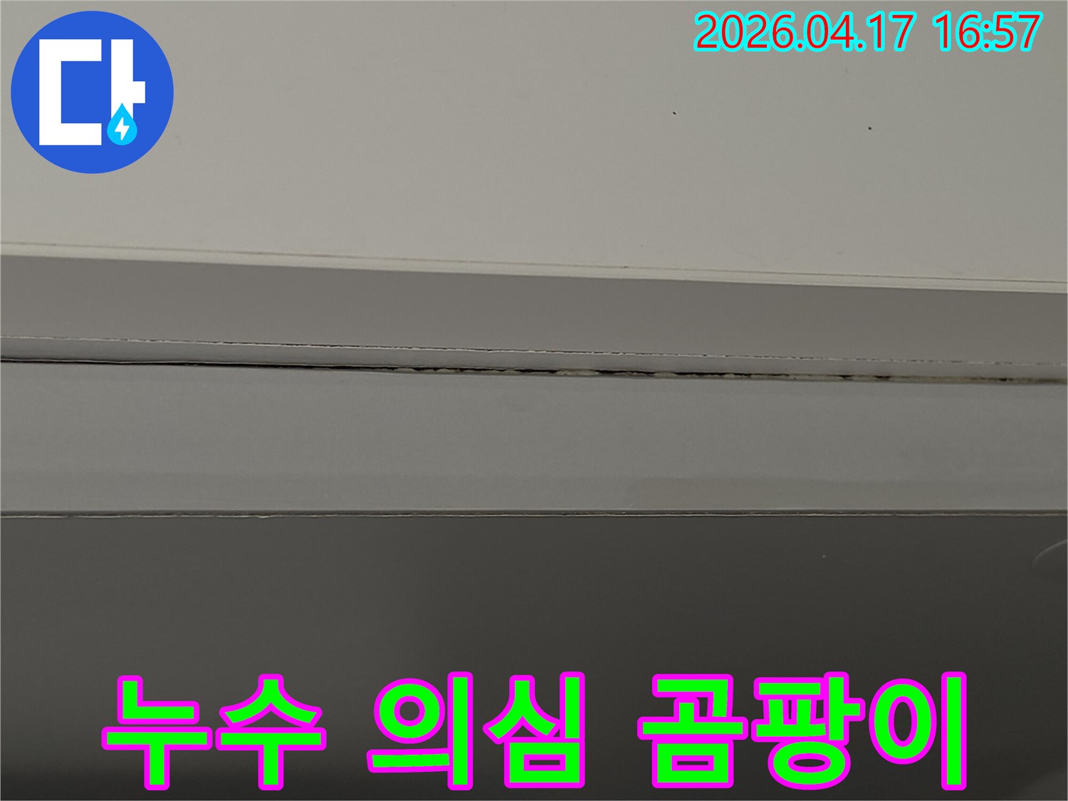 지속적인-습기로-인해-발생한-틈새의-곰팡이로-누수-가능성을-시사합니다.