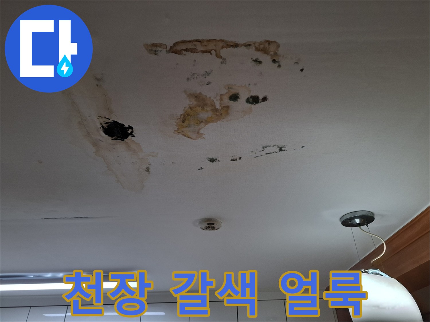 갈색으로 변색된 천장 마감재와 곰팡이 발생 상태