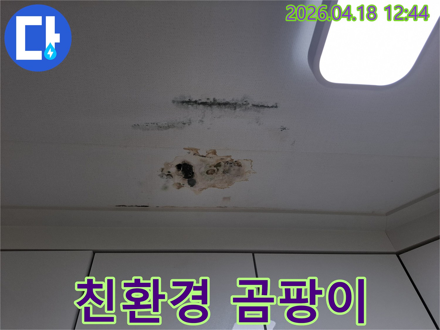 누수로-인해-천장-마감재가-손상되고-곰팡이가-번식한-아파트-천장-부분-친환경-제거-필요